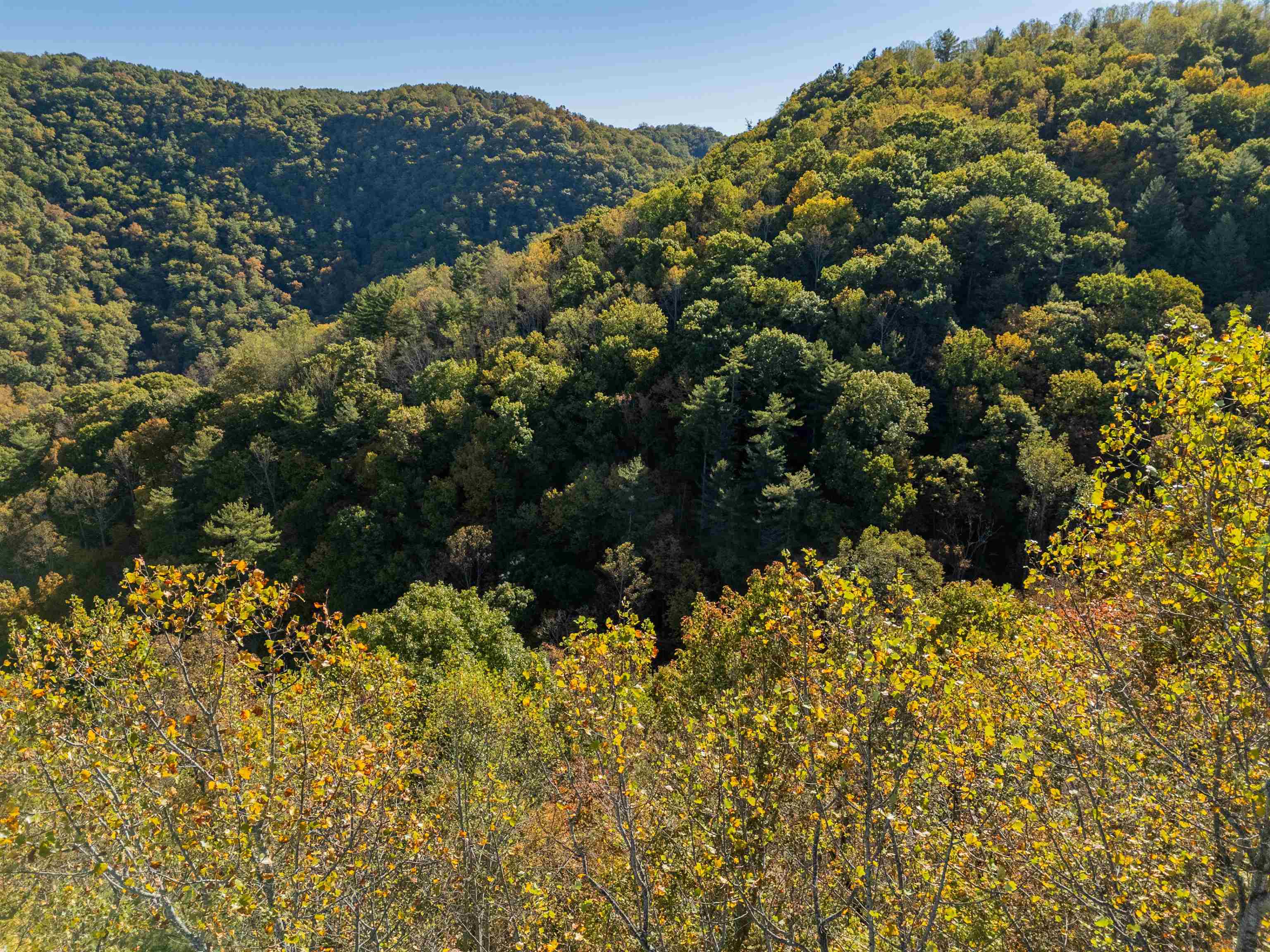 Check, Virginia 24072, United States, ,Land,Active,235565