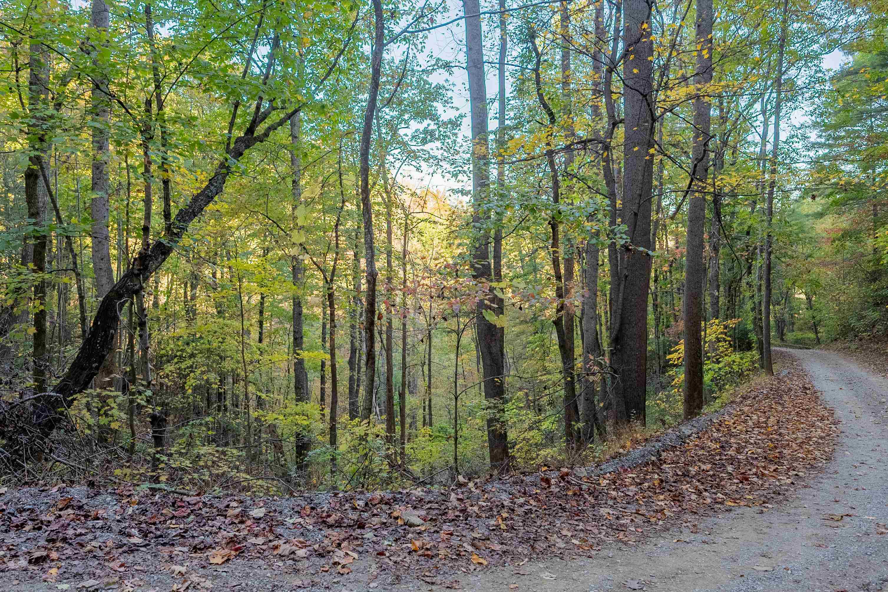 Check, Virginia 24072, United States, ,Land,Active,235565