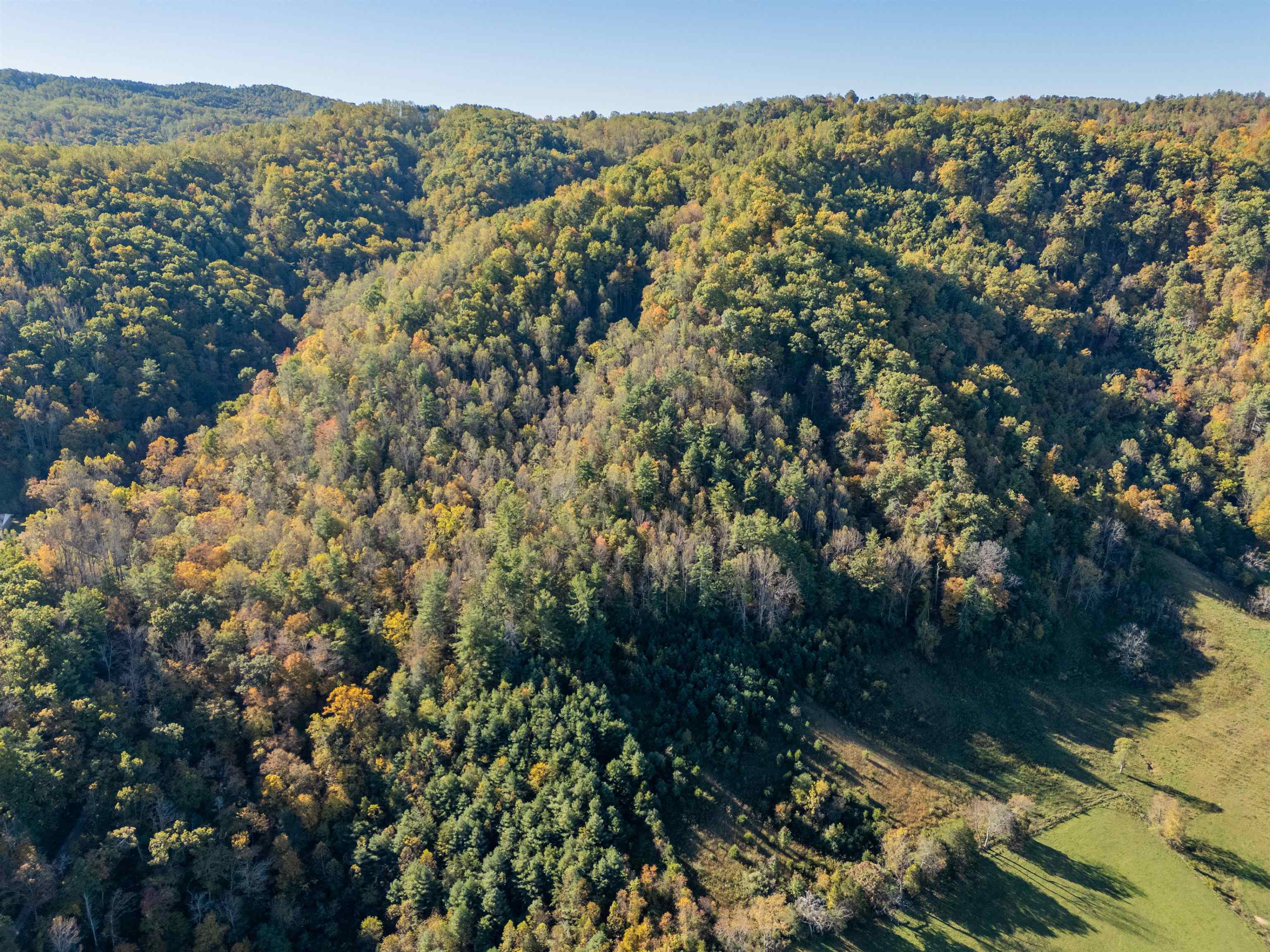 Check, Virginia 24072, United States, ,Land,Active,235565