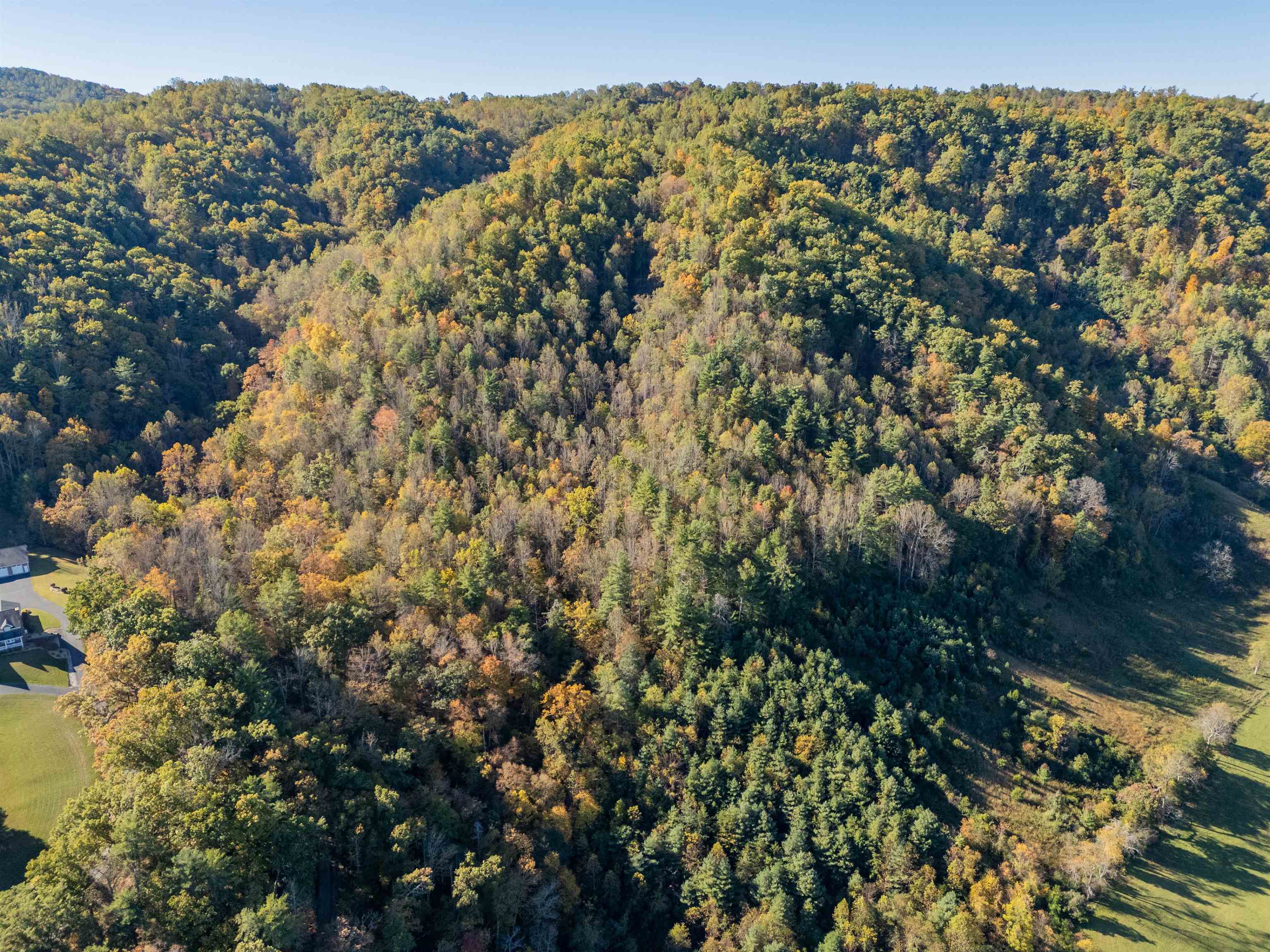 Check, Virginia 24072, United States, ,Land,Active,235565