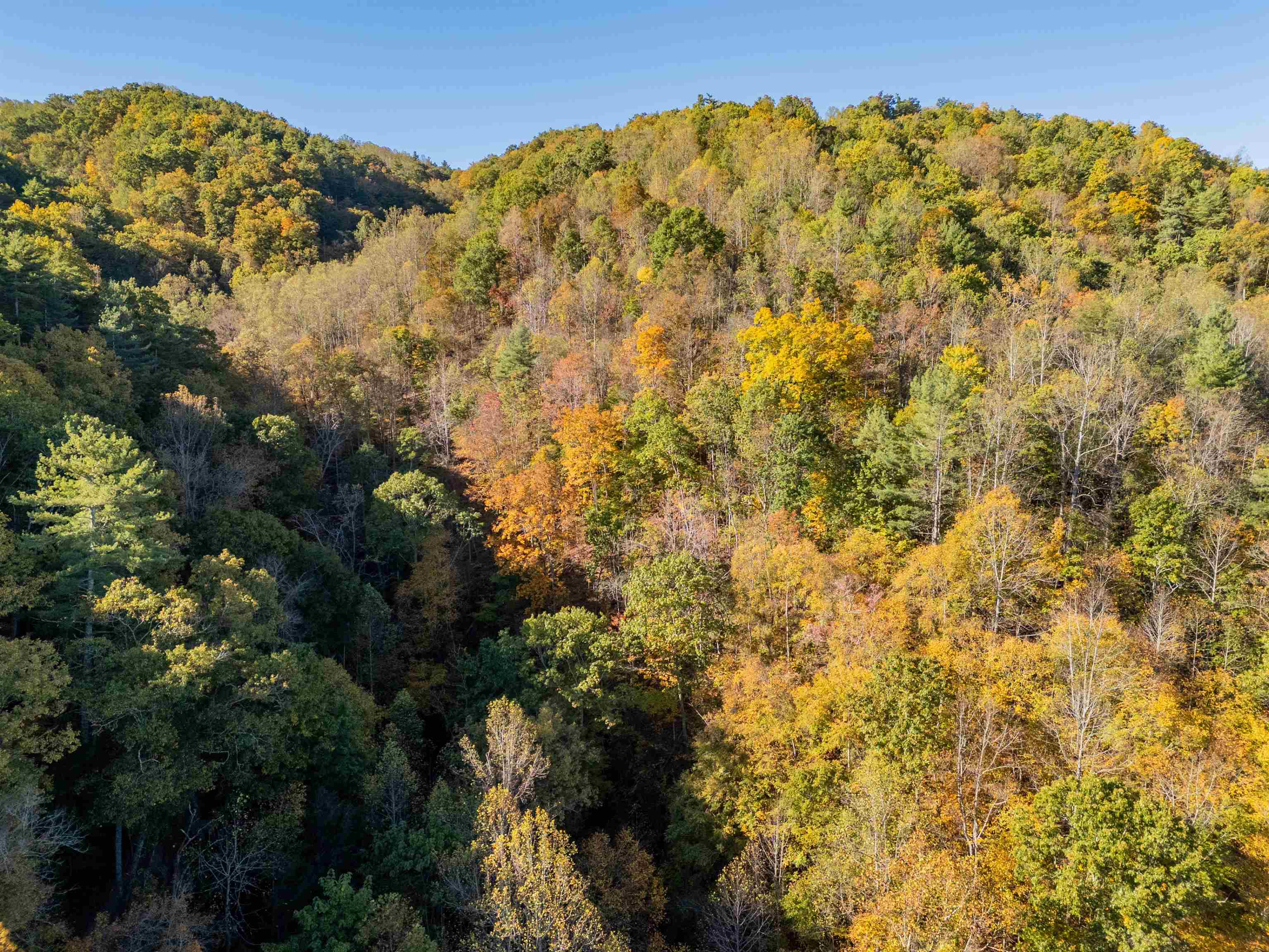 Check, Virginia 24072, United States, ,Land,Active,235565