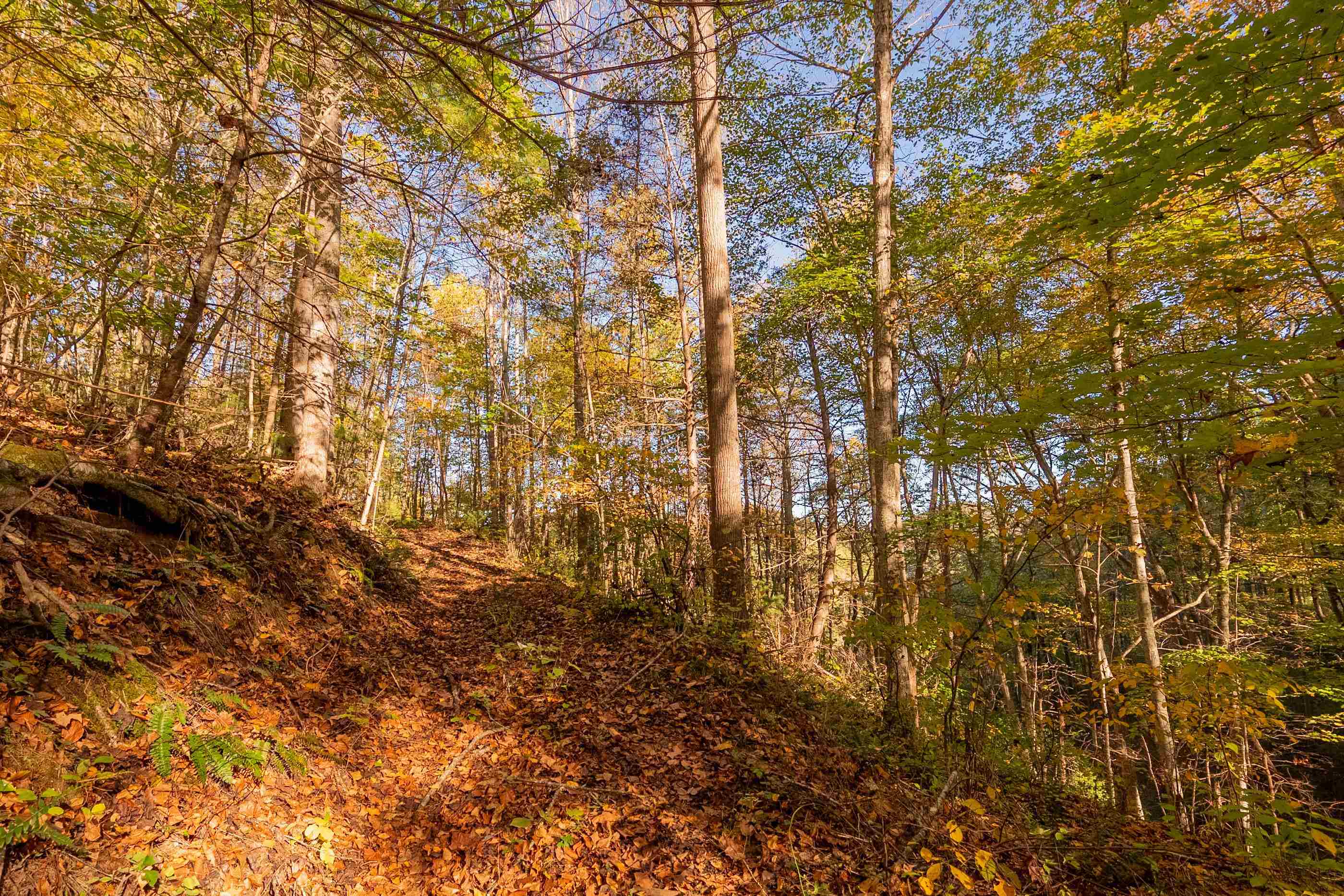 Check, Virginia 24072, United States, ,Land,Active,235565