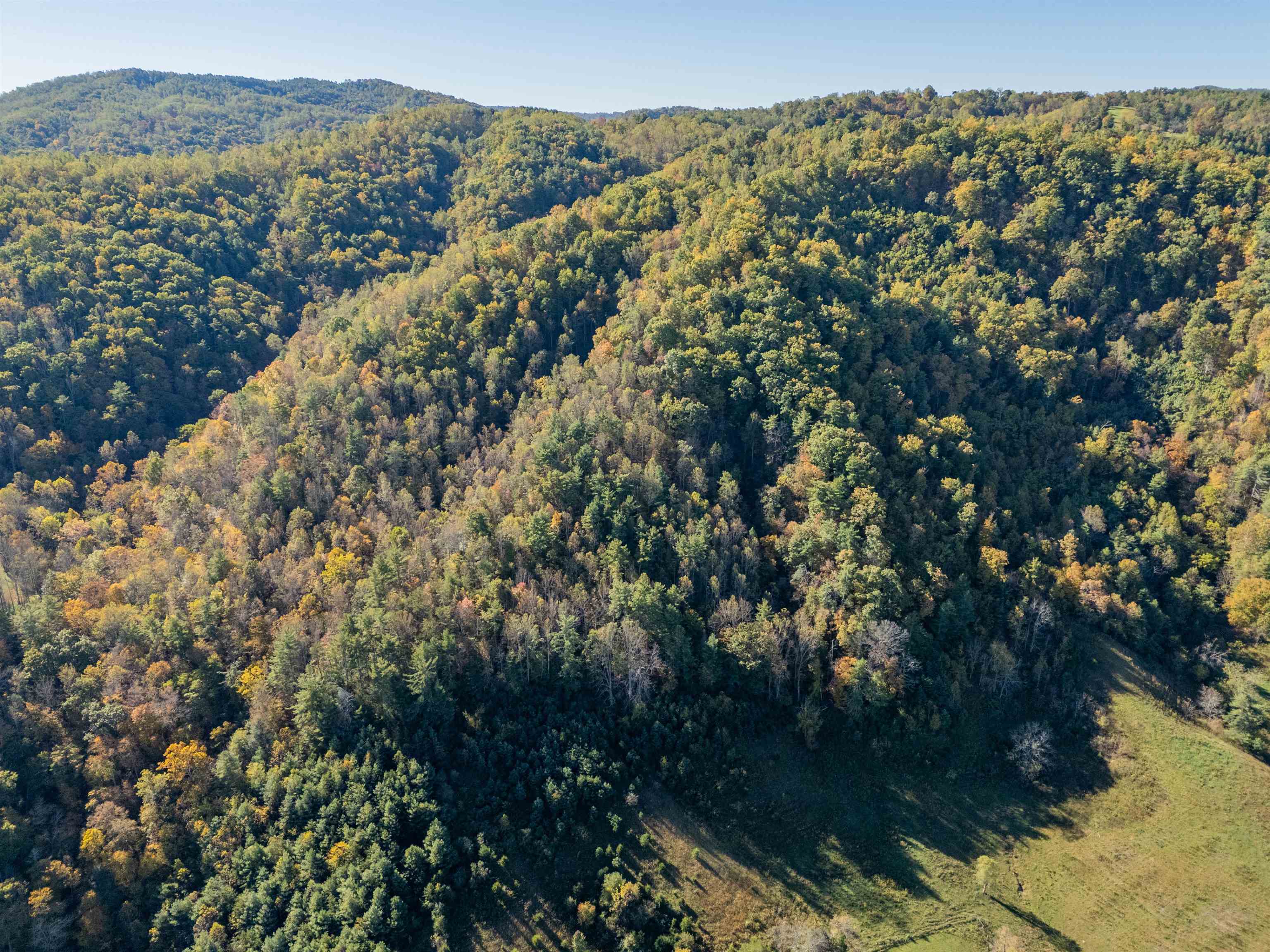 Check, Virginia 24072, United States, ,Land,Active,235565