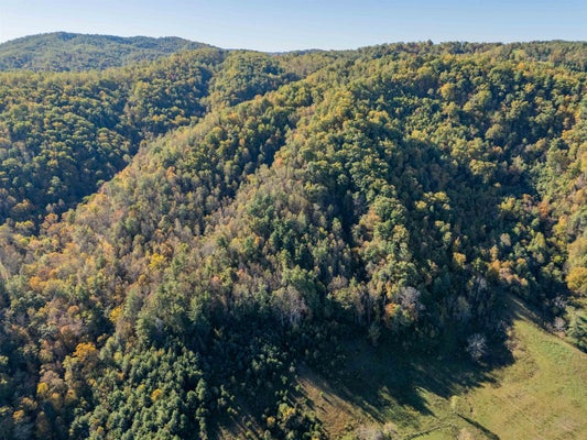 LICK RIDGE RD NE, CHECK, VA 24072 - Image a8dfdfd1397852d858e2ddc61a2e2565/3190341292