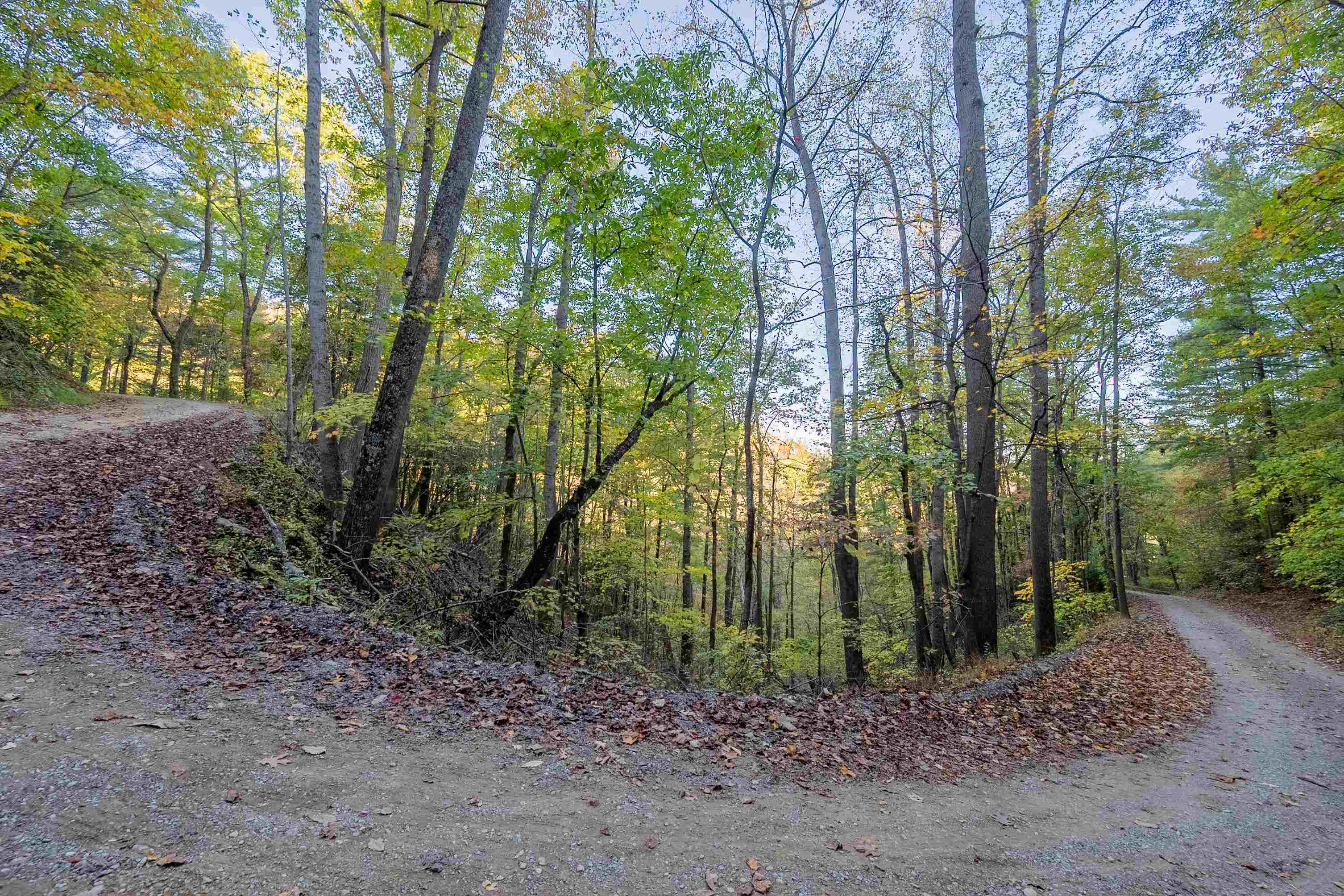 Check, Virginia 24072, United States, ,Land,Active,235565