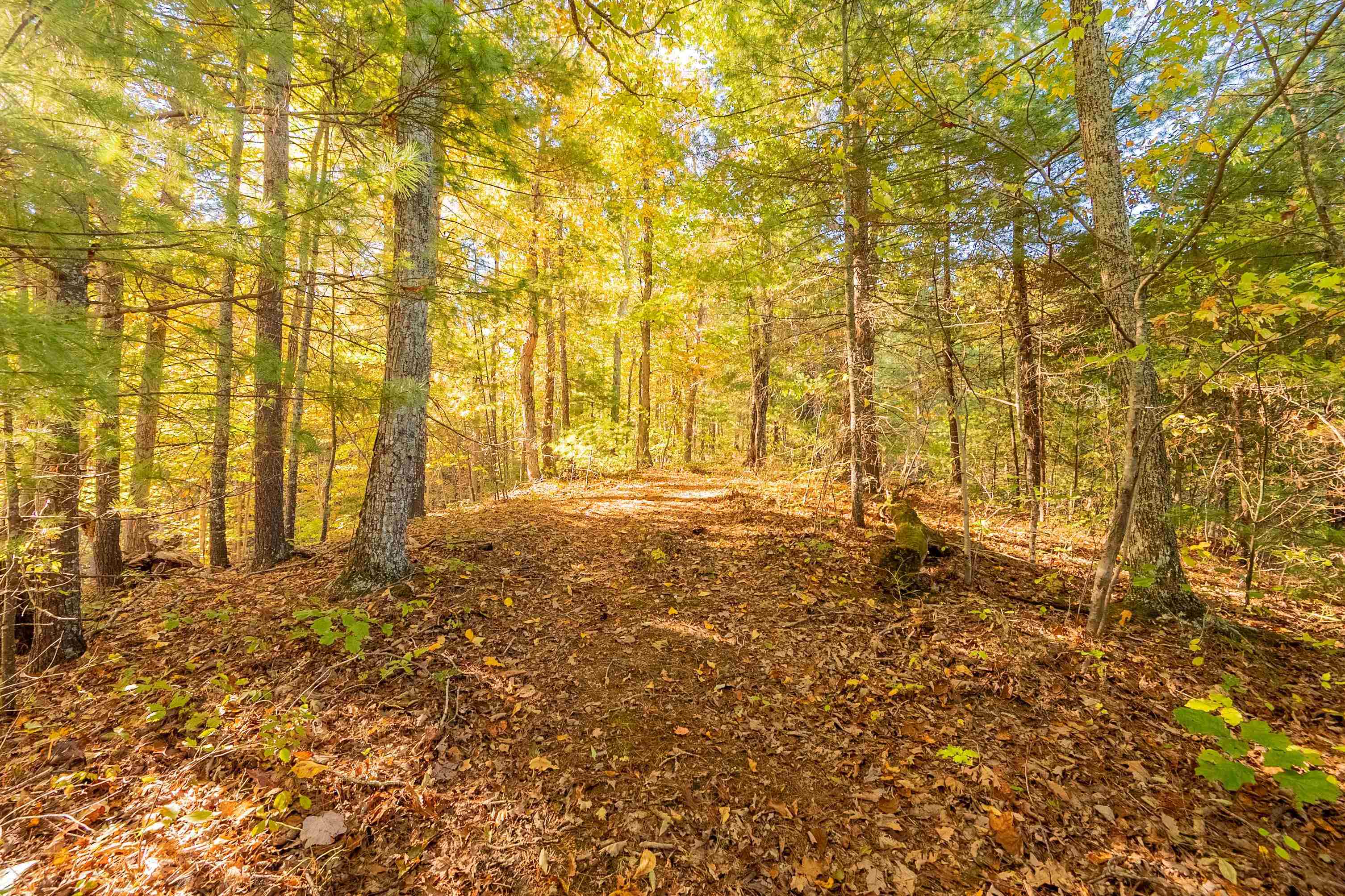 Check, Virginia 24072, United States, ,Land,Active,235565