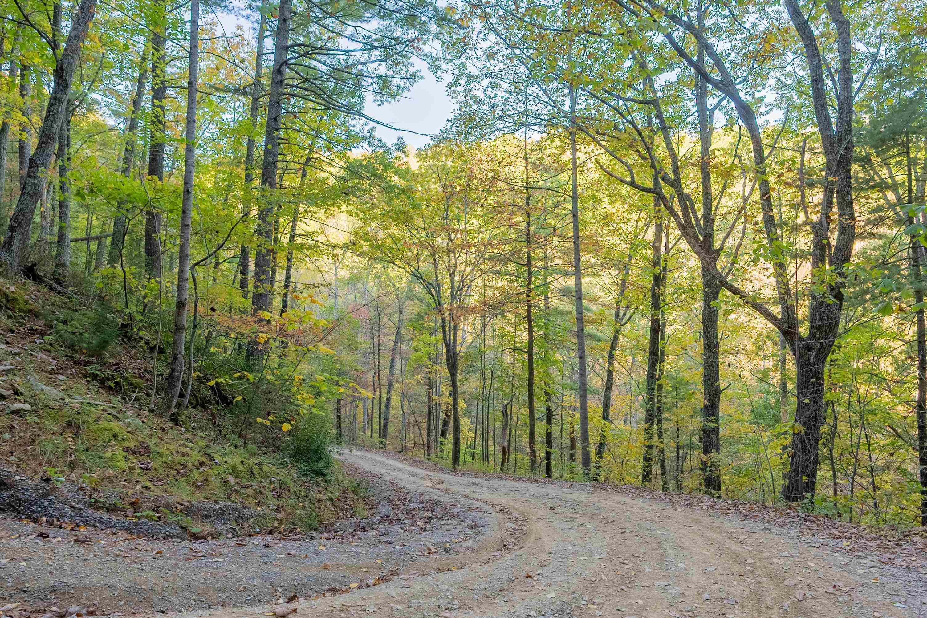 Check, Virginia 24072, United States, ,Land,Active,235565