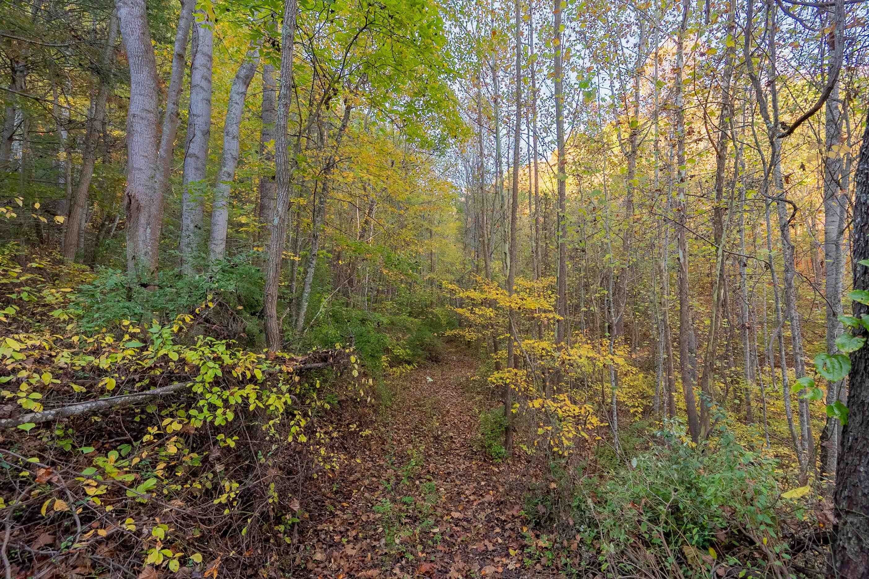 Check, Virginia 24072, United States, ,Land,Active,235565