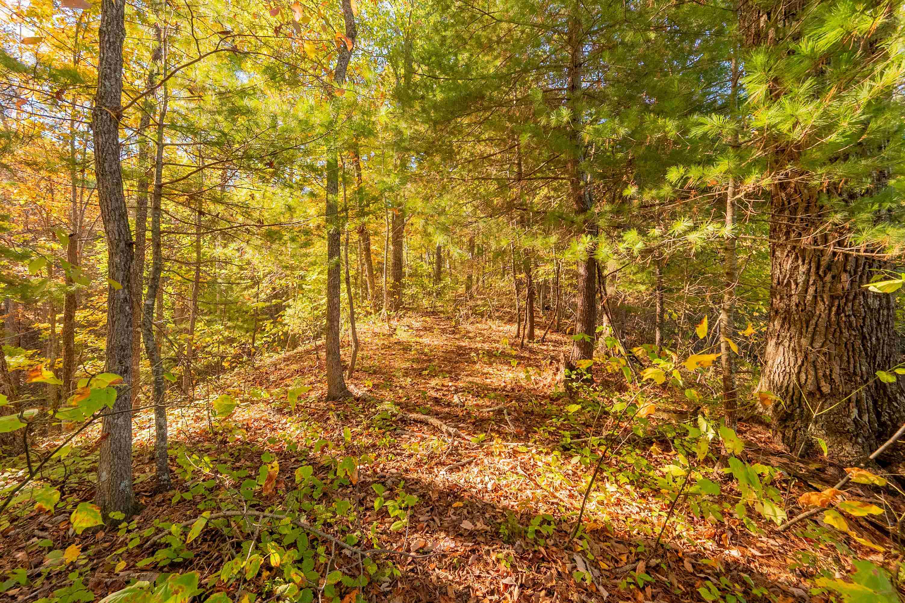 Check, Virginia 24072, United States, ,Land,Active,235565