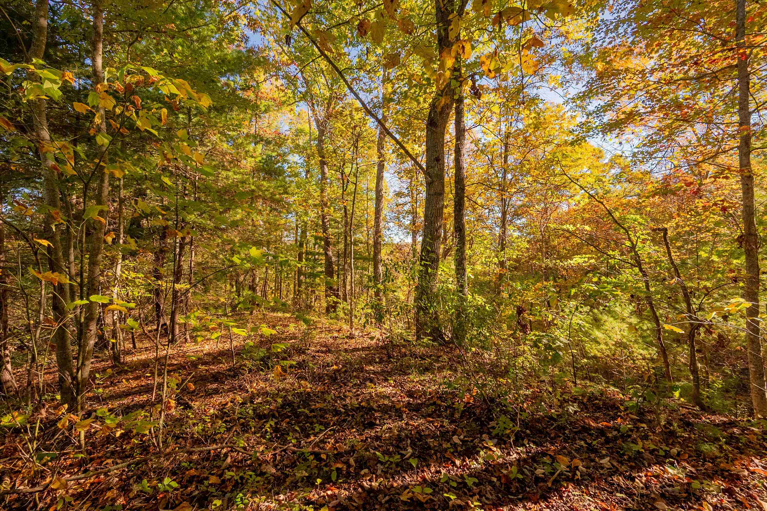 Check, Virginia 24072, United States, ,Land,Active,235565