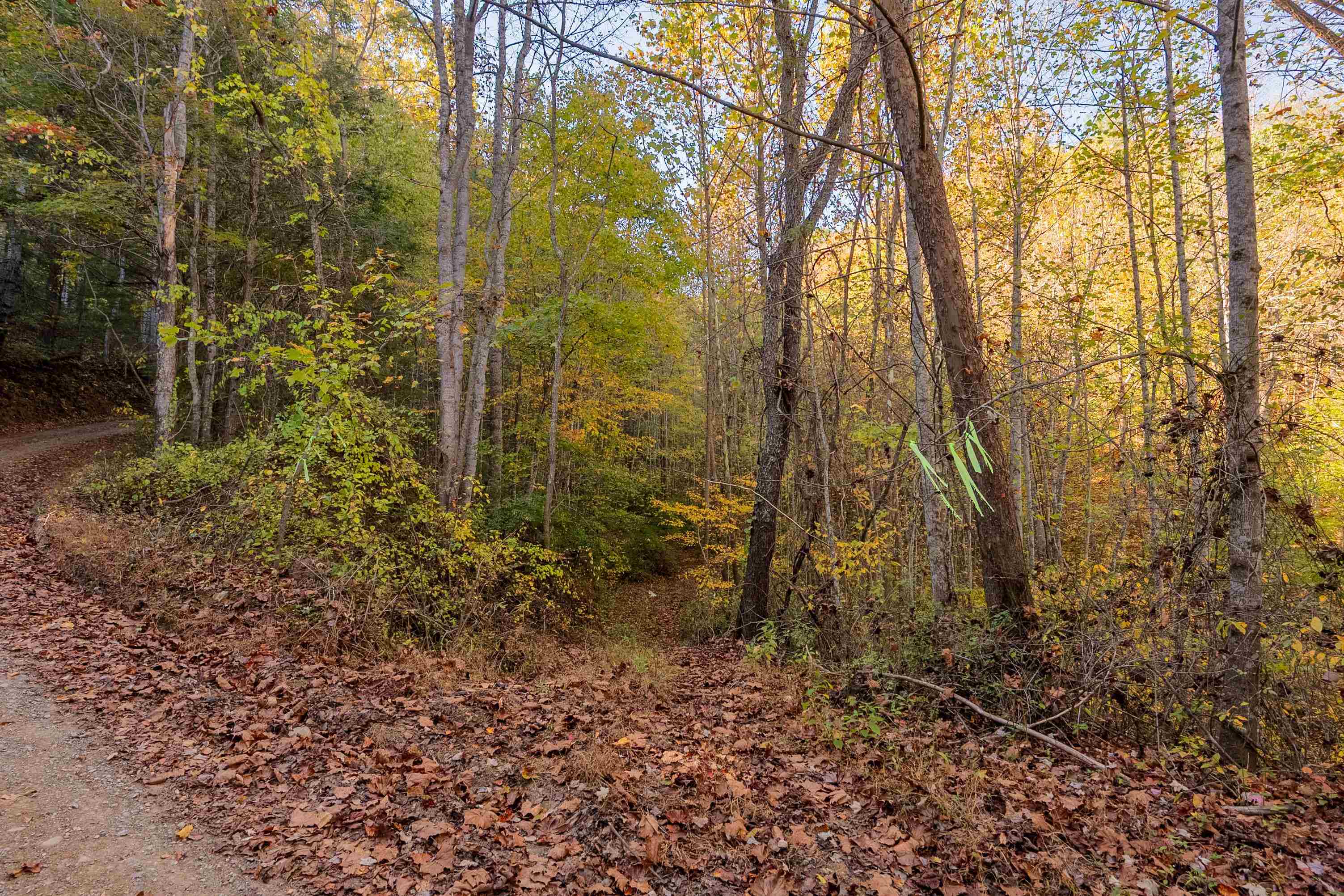 Check, Virginia 24072, United States, ,Land,Active,235565