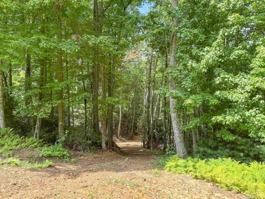29 MOSSY OAK LN, BLAND, VA 24315 - Image ab2f1aaed29b0fa45f45de3989ebc653/3340356628