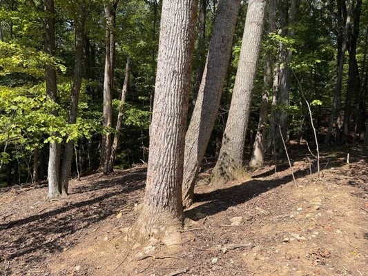 CHESTNUT CREEK DR, HARDY, VA 24101 - Image abb4dbbbabcf55d1331bc993e46724b2/3125577564