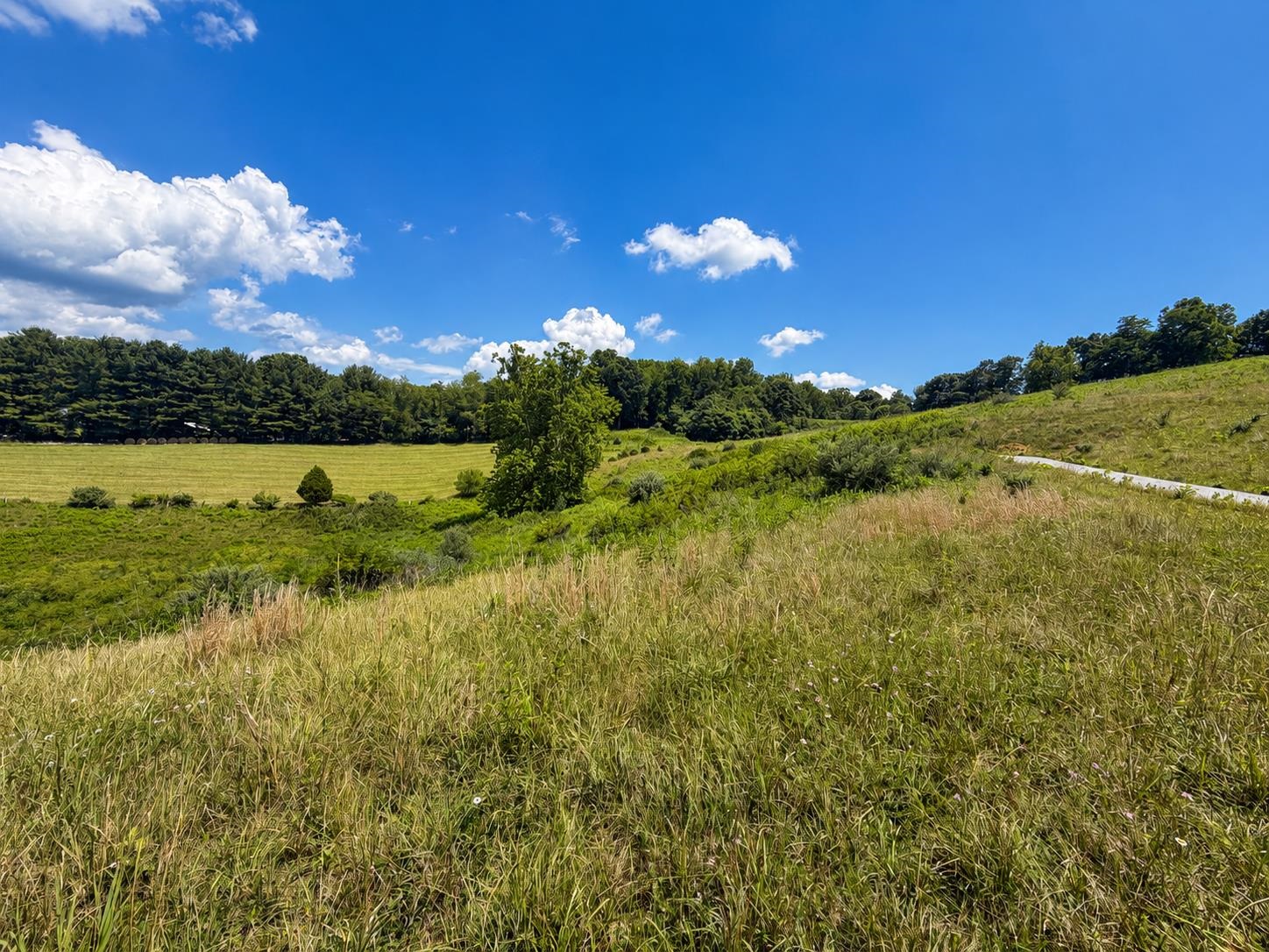 Lot 7 Panorama Drive