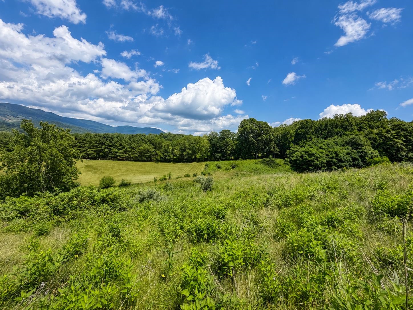 Lot 7 Panorama Drive