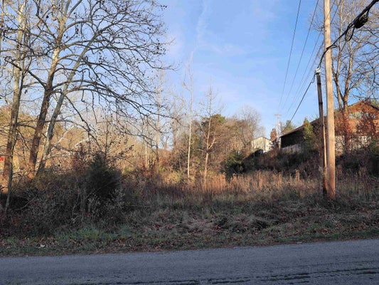 RADFORD RD, CHRISTIANSBURG, VA 24073 - Image c1e191bfc066dcbd22fdb5abeb0e4bbe/2926929929