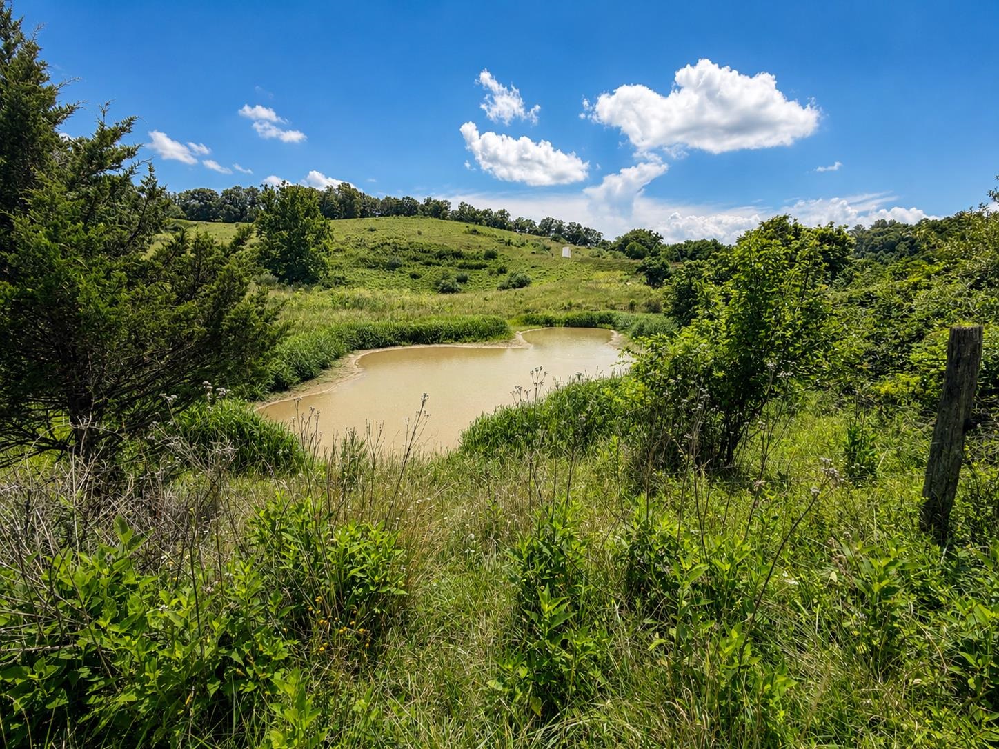 Lot 6 Green Tree Road