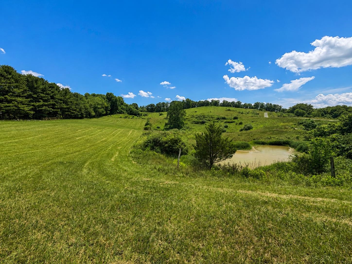 Lot 6 Green Tree Road