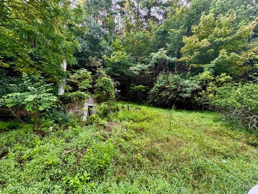 VALLEY RD, PULASKI, VA 24301 - Image c8a236da42c46b222de583e50b7e02f1/921506631