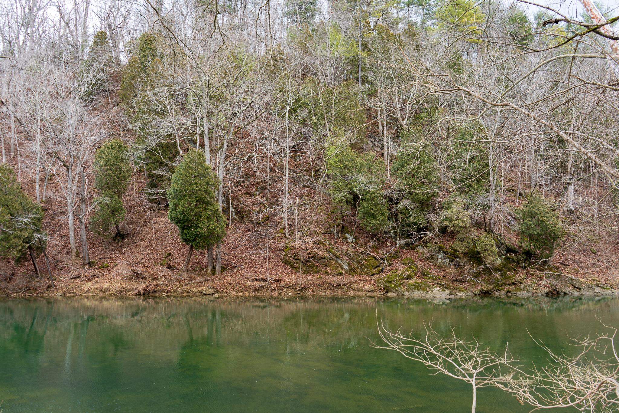 105 SPRINGDALE Road