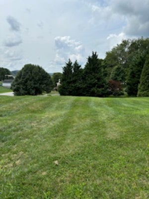 180 KAYS DR, CHRISTIANSBURG, VA 24073 - Image cc8712985b1e1ccaca29d4bdf7bbd8f7/3368959511
