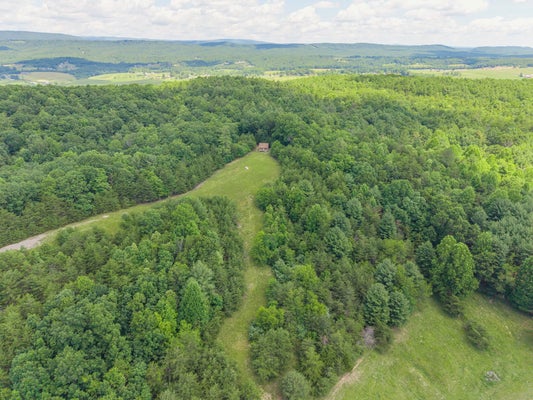 LOCUST HILL RD, MAX MEADOWS, VA 24360 - Image d6bfda75df19faa4ebfca53a9f272b06/251411278