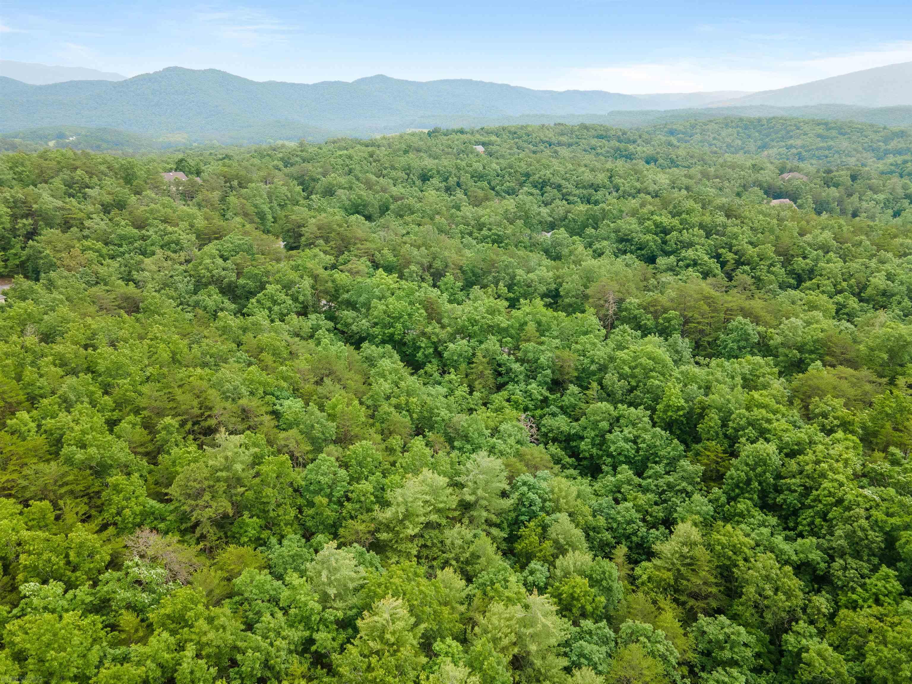 Elliston, Virginia 24087, United States, ,Land,Active,74717