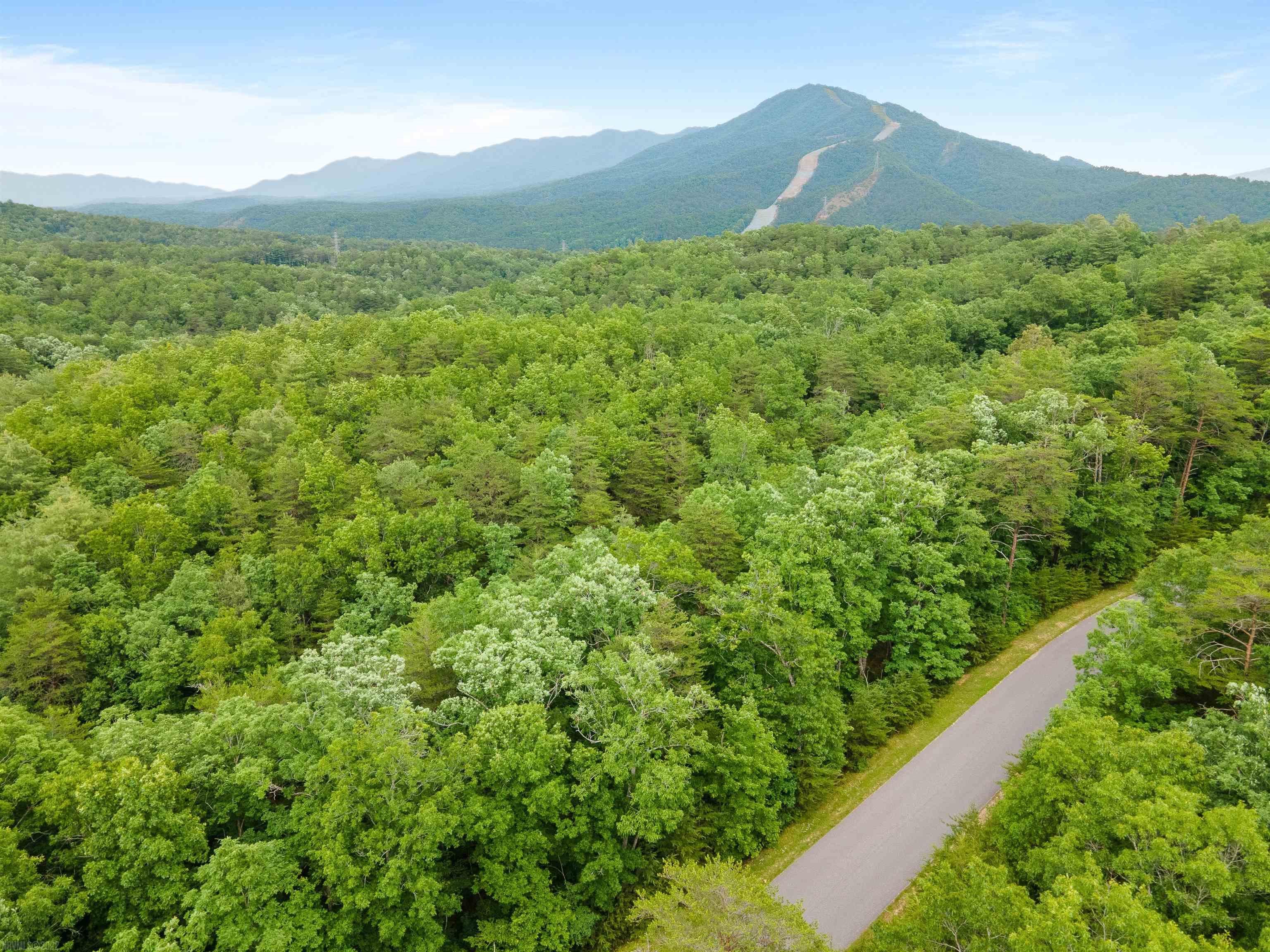 Elliston, Virginia 24087, United States, ,Land,Active,74717