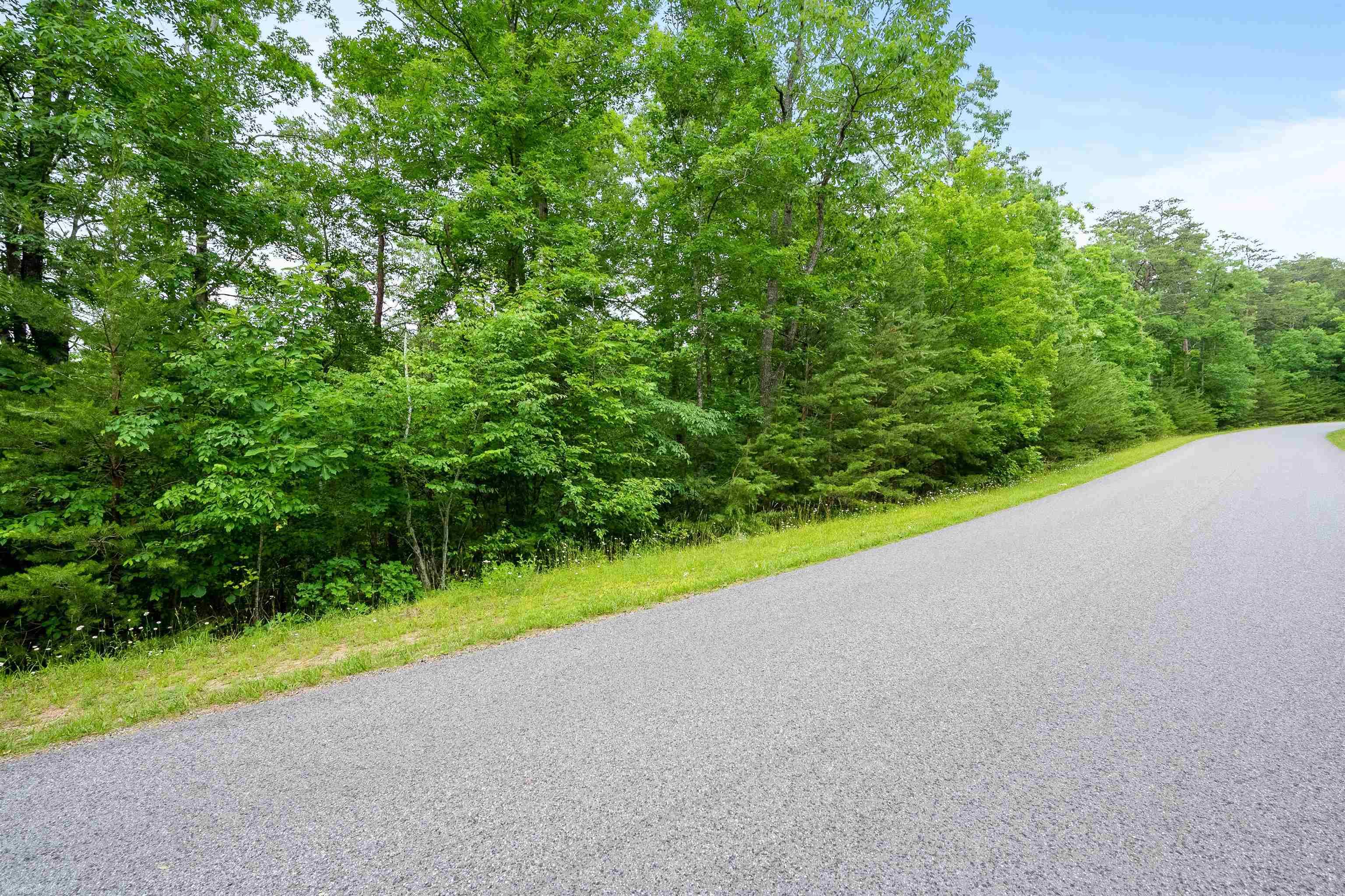 Elliston, Virginia 24087, United States, ,Land,Active,74717