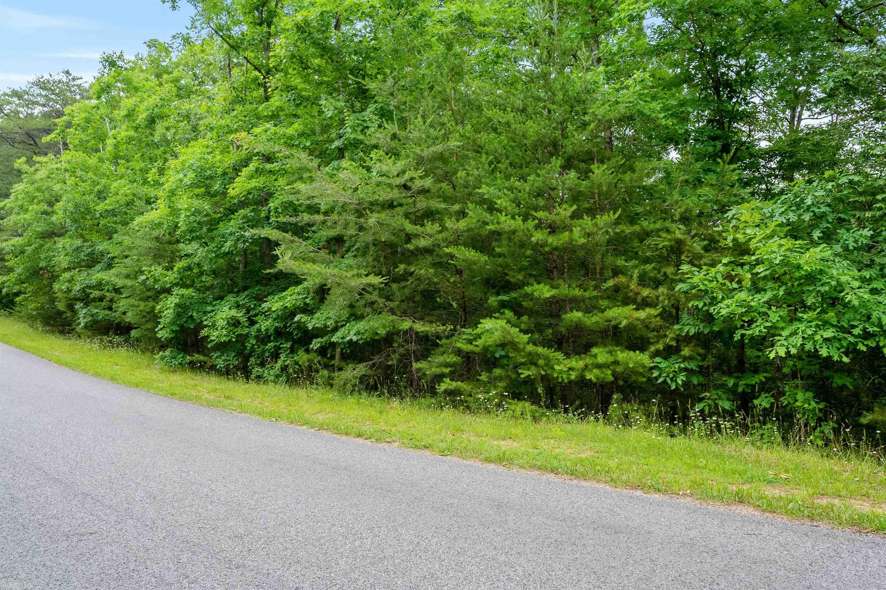 Elliston, Virginia 24087, United States, ,Land,Active,74717