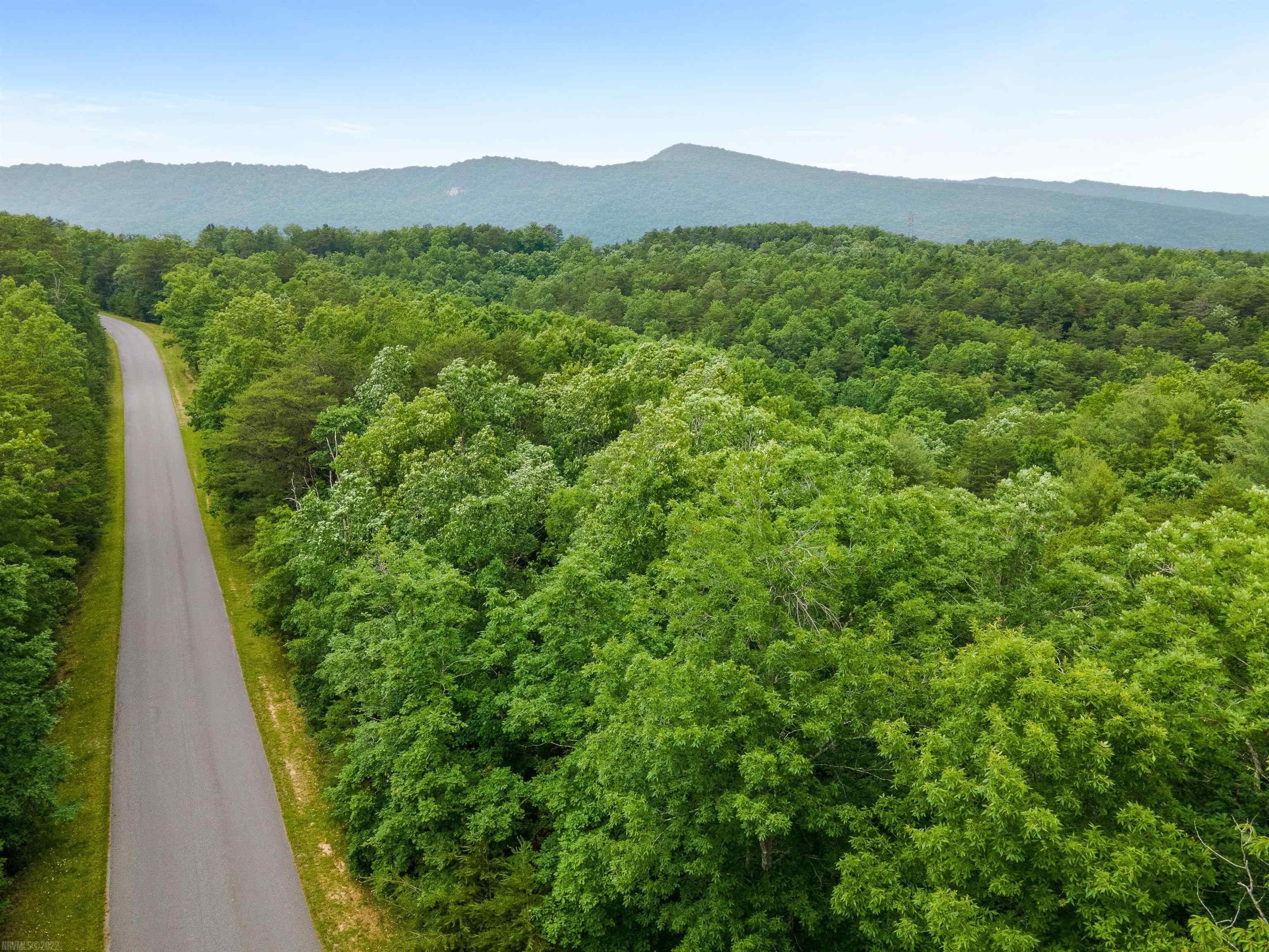 Elliston, Virginia 24087, United States, ,Land,Active,74717