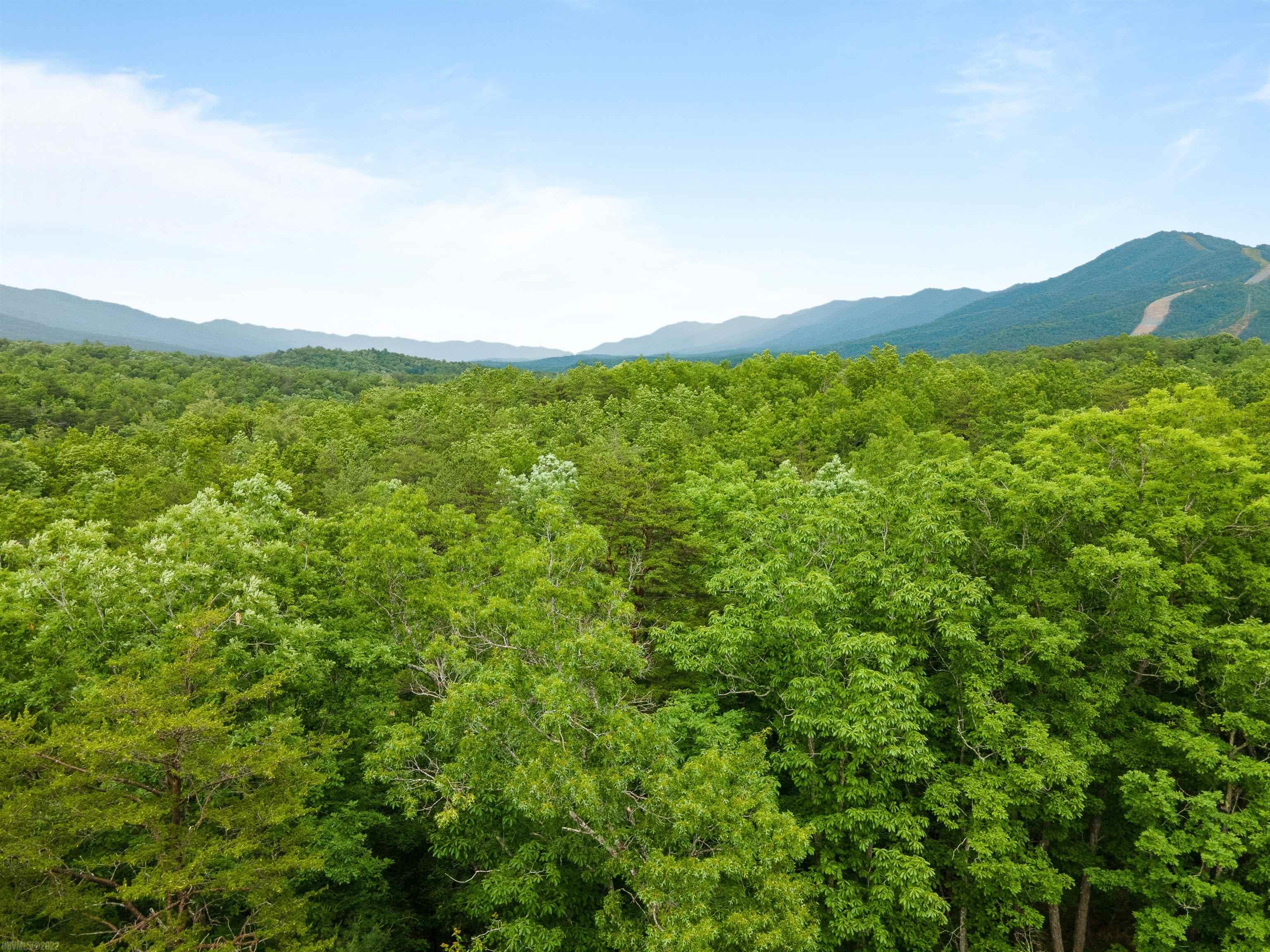 Elliston, Virginia 24087, United States, ,Land,Active,74717