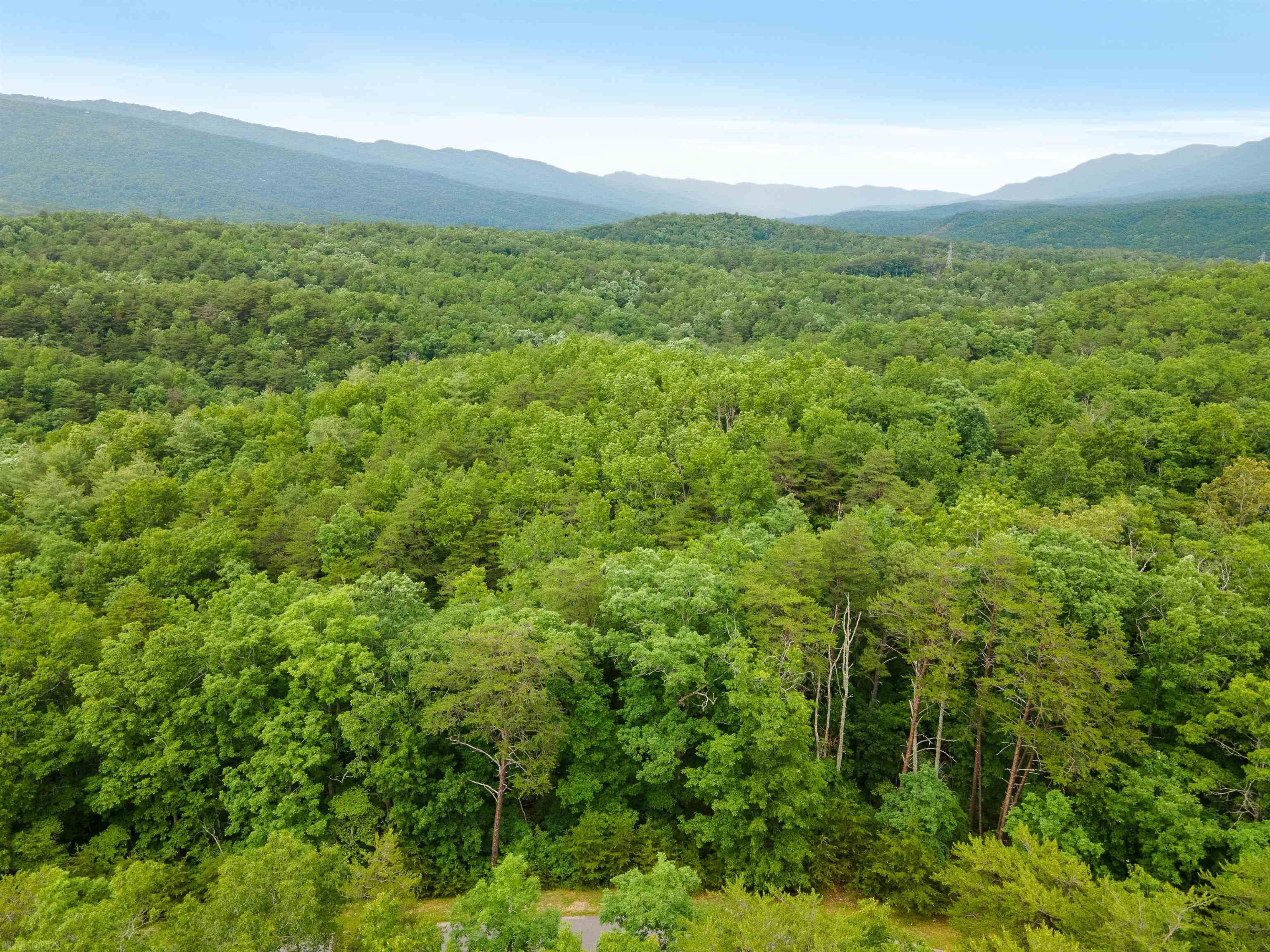 Elliston, Virginia 24087, United States, ,Land,Active,74717