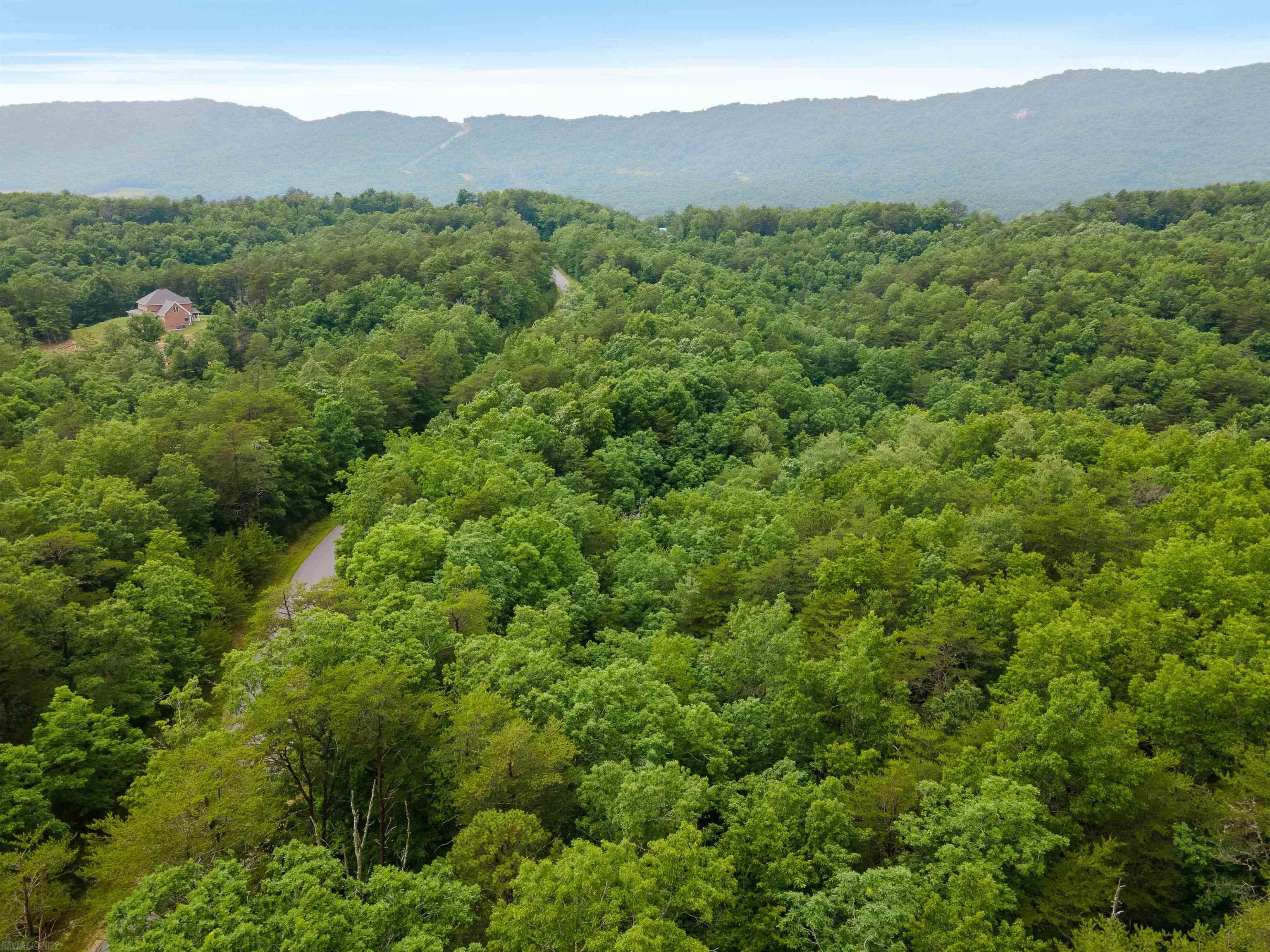 Elliston, Virginia 24087, United States, ,Land,Active,74717