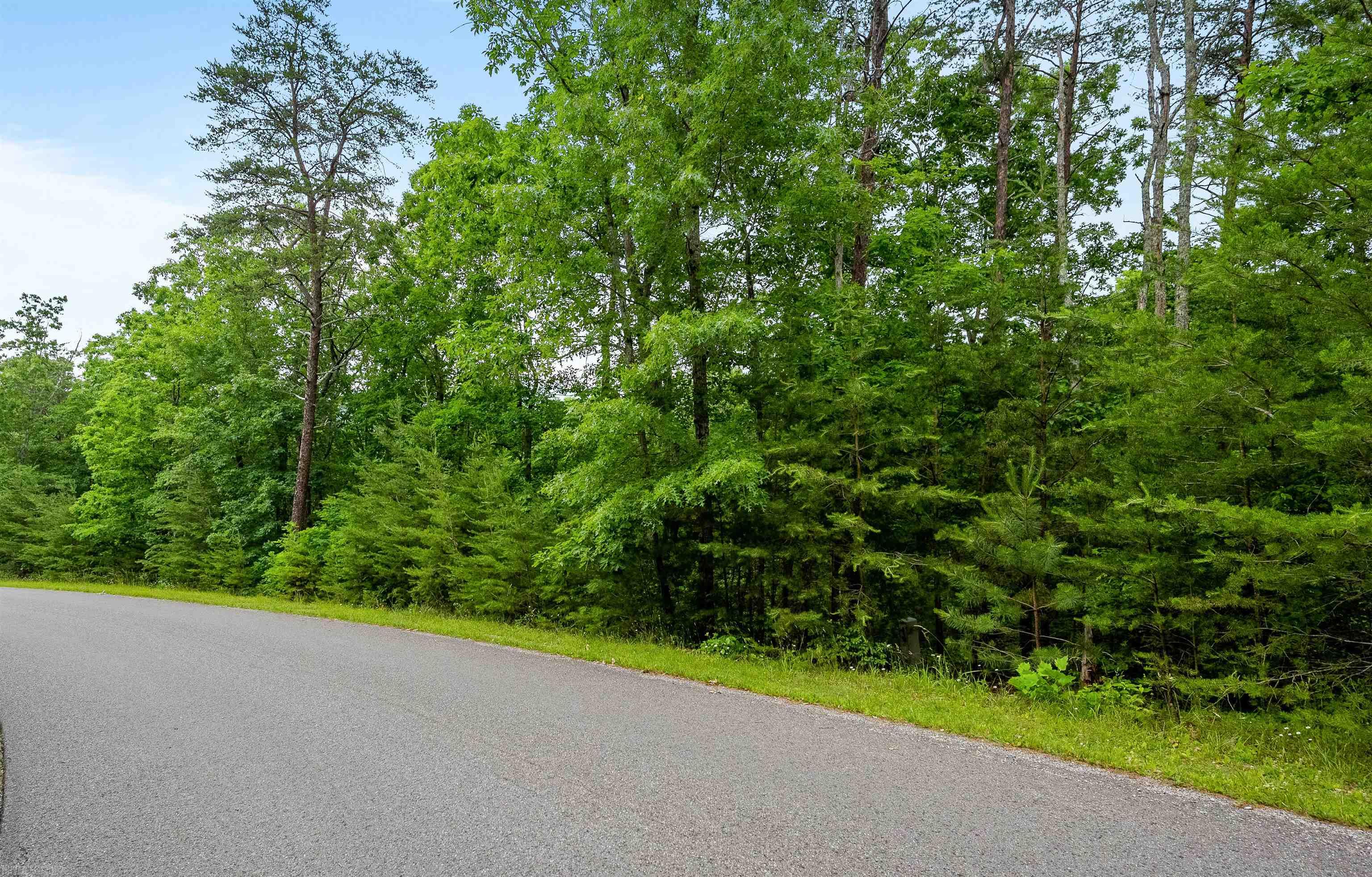 Elliston, Virginia 24087, United States, ,Land,Active,74717