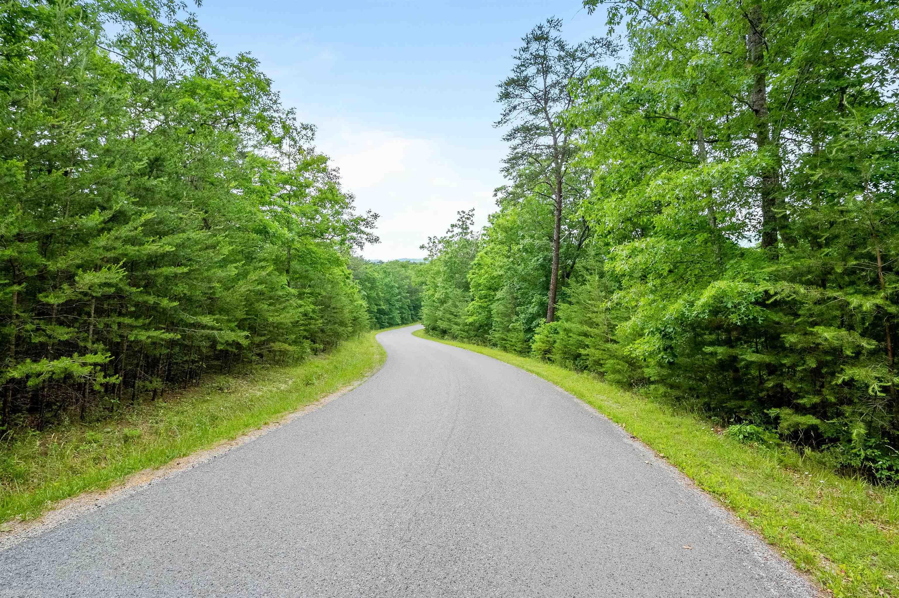 Elliston, Virginia 24087, United States, ,Land,Active,74717