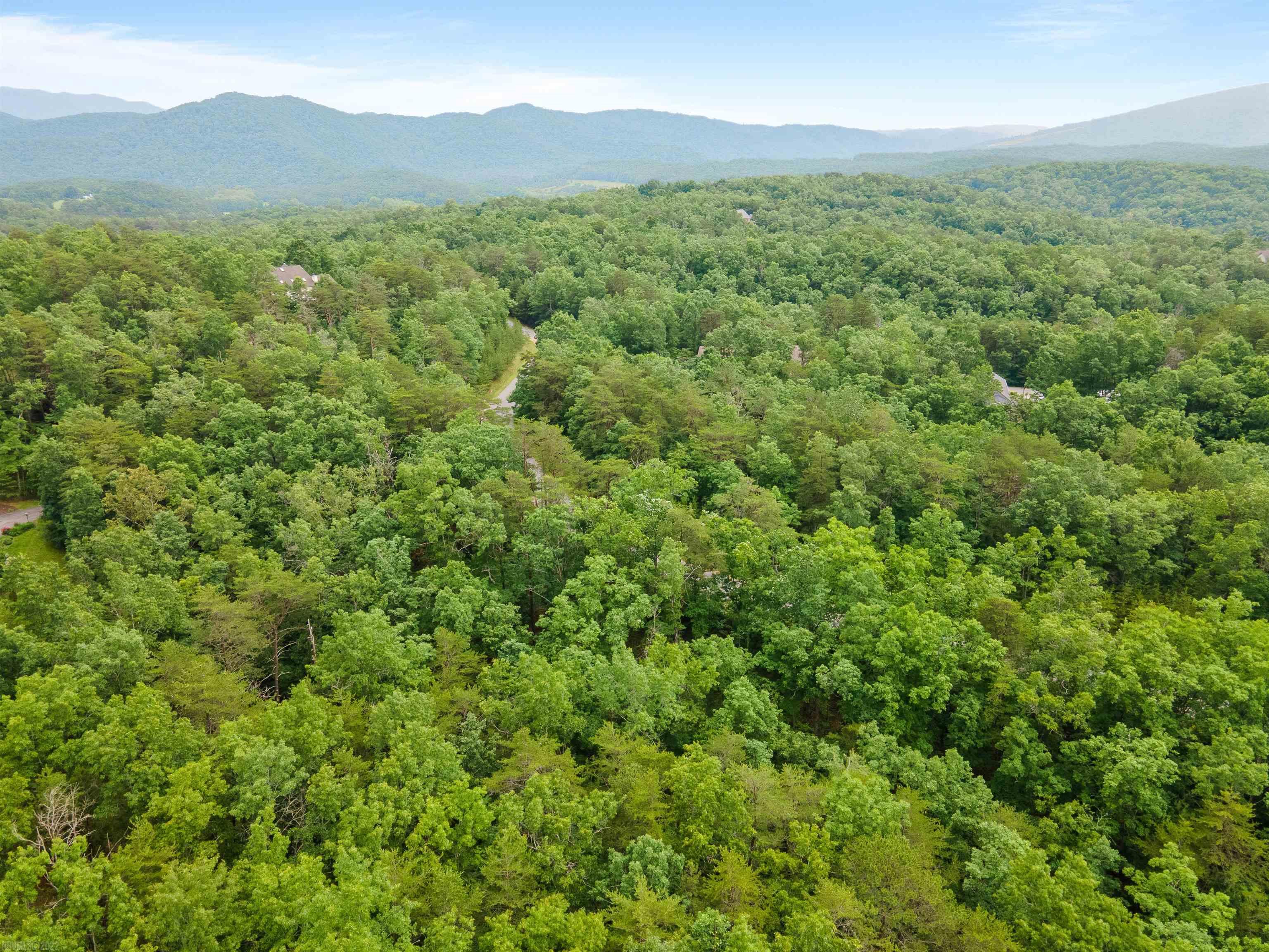 Elliston, Virginia 24087, United States, ,Land,Active,74717