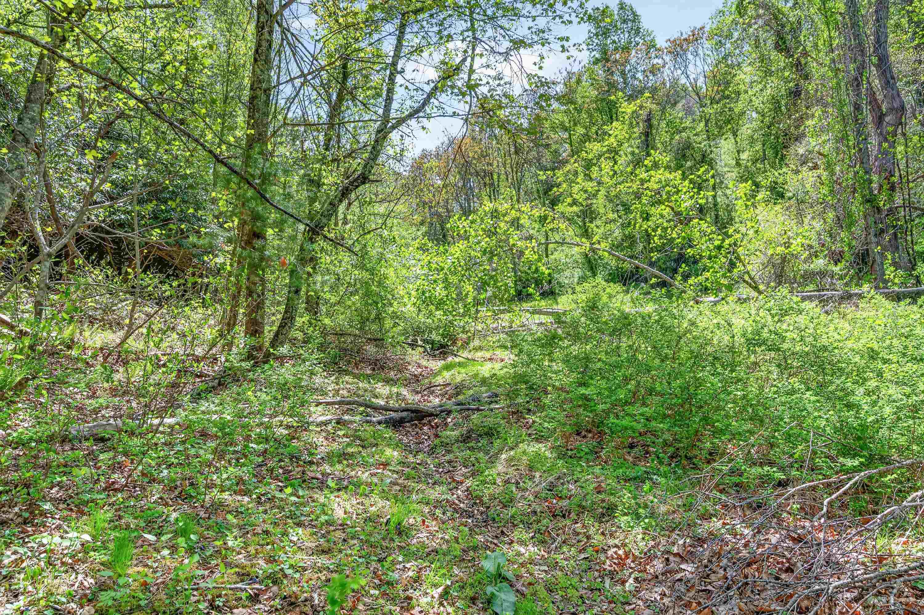 0 Countyline Church Road SE