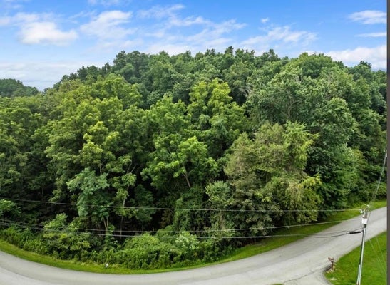 ADDRESS PRIVATE, RADFORD, VA 24141 - Image eea3e2fb53ebd78cf81c3238cd6af180/2446500083