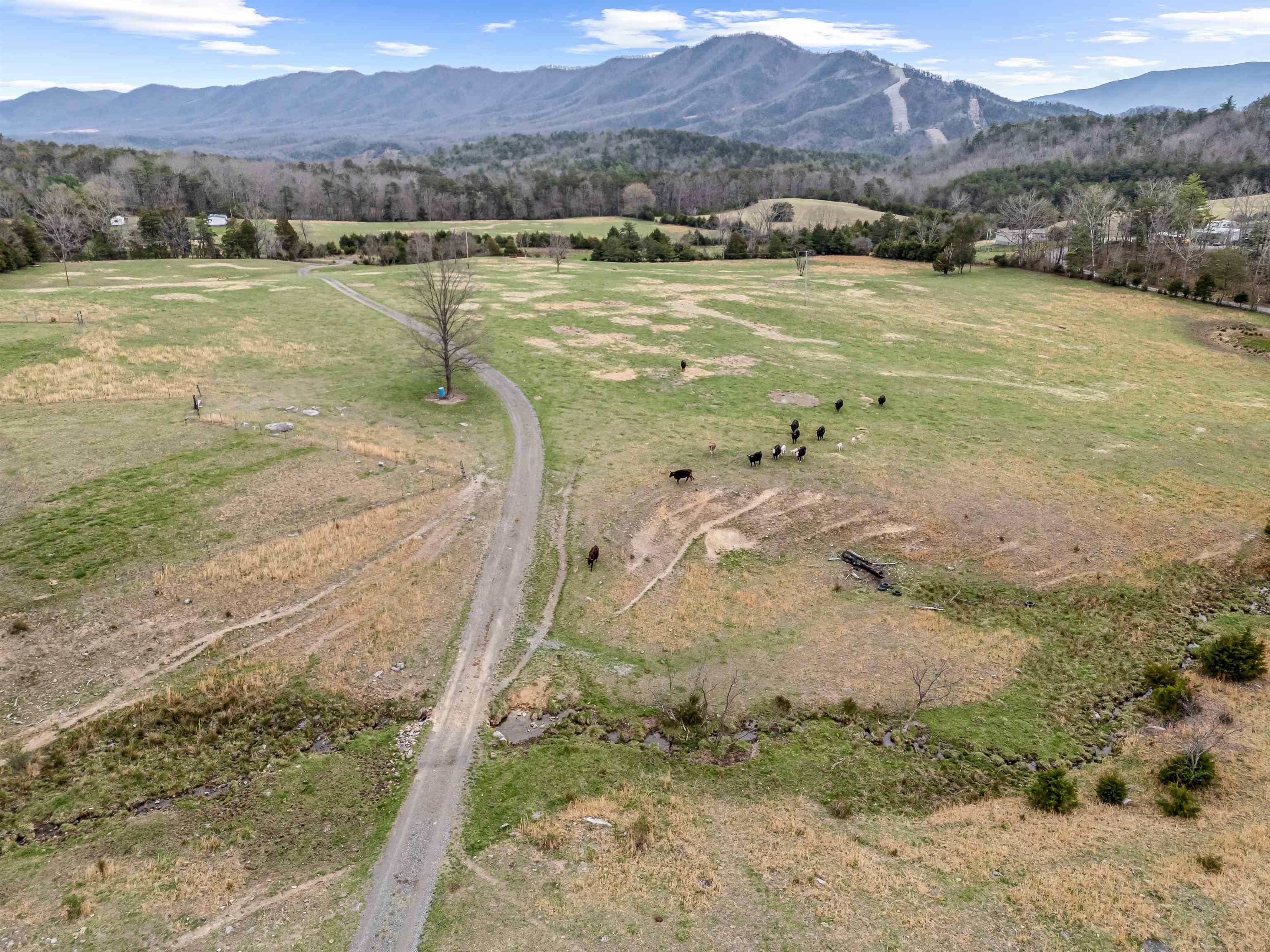 Elliston, Virginia 24087, United States, 3 Bedrooms Bedrooms, ,2 BathroomsBathrooms,Residential,Pending,109108