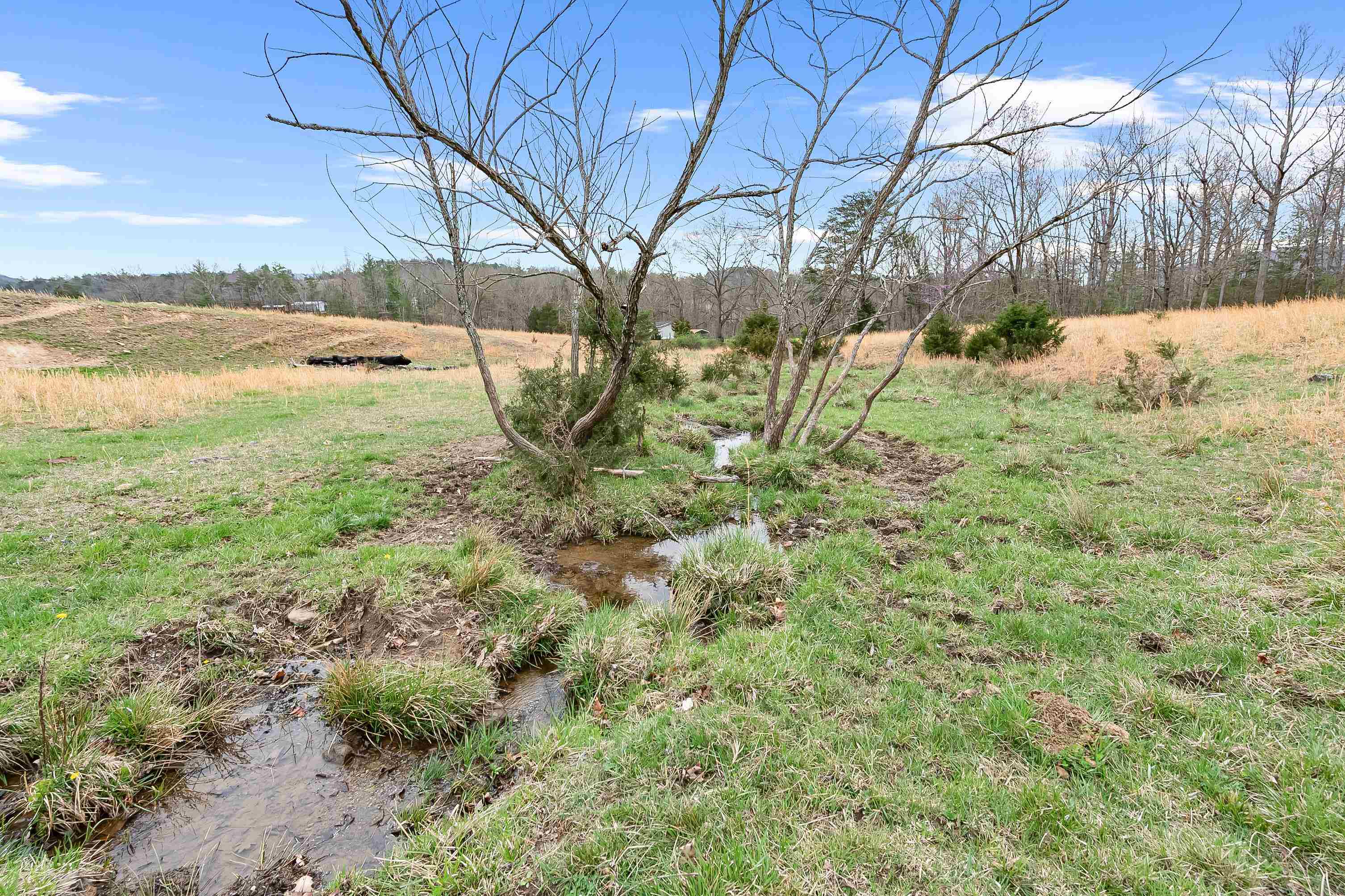 Elliston, Virginia 24087, United States, 3 Bedrooms Bedrooms, ,2 BathroomsBathrooms,Residential,Pending,109108