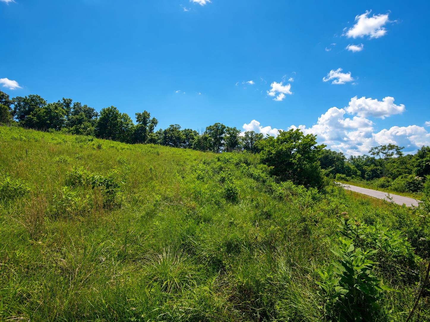 Lot 5 Green Tree Road