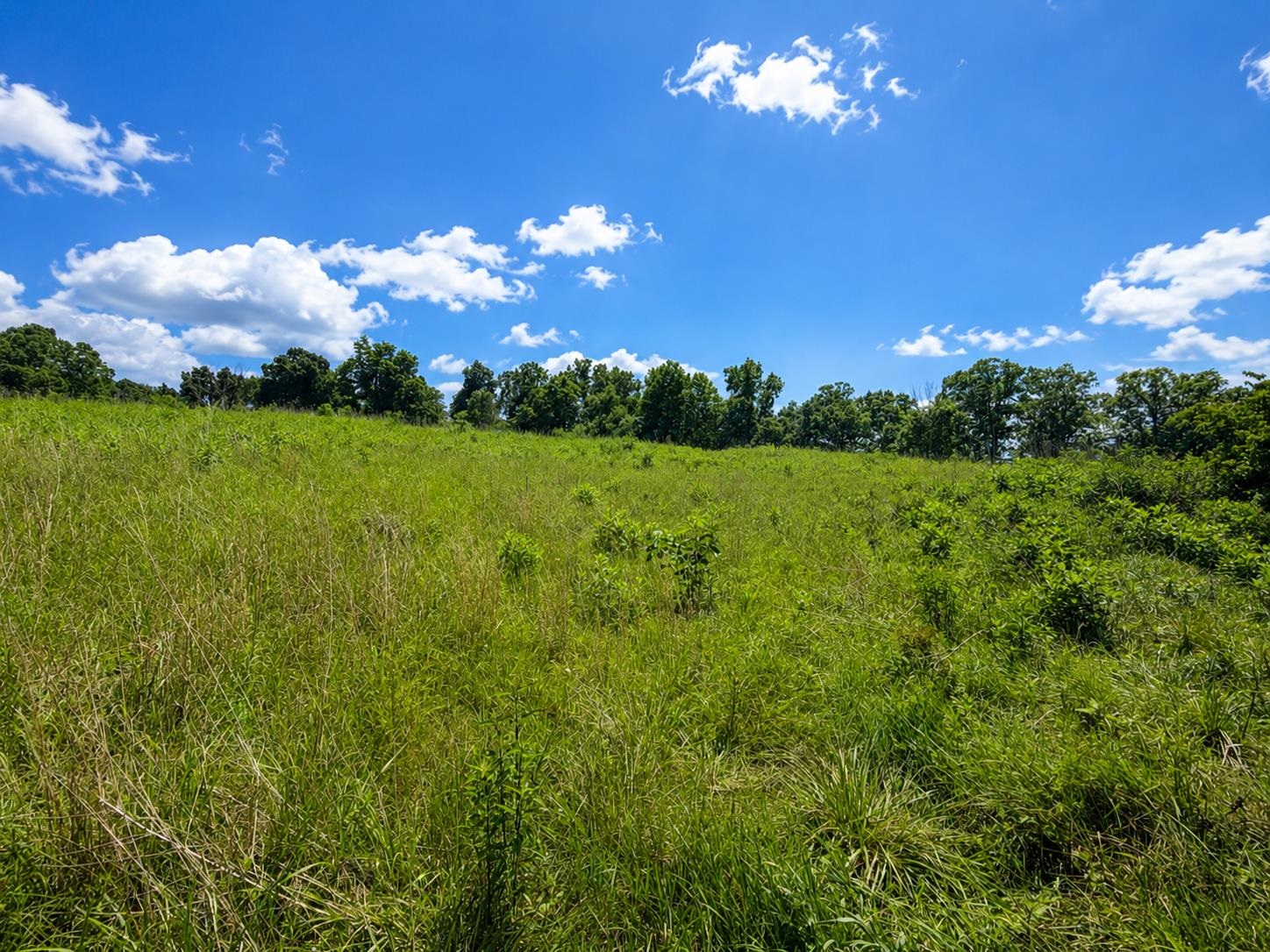 Lot 5 Green Tree Road