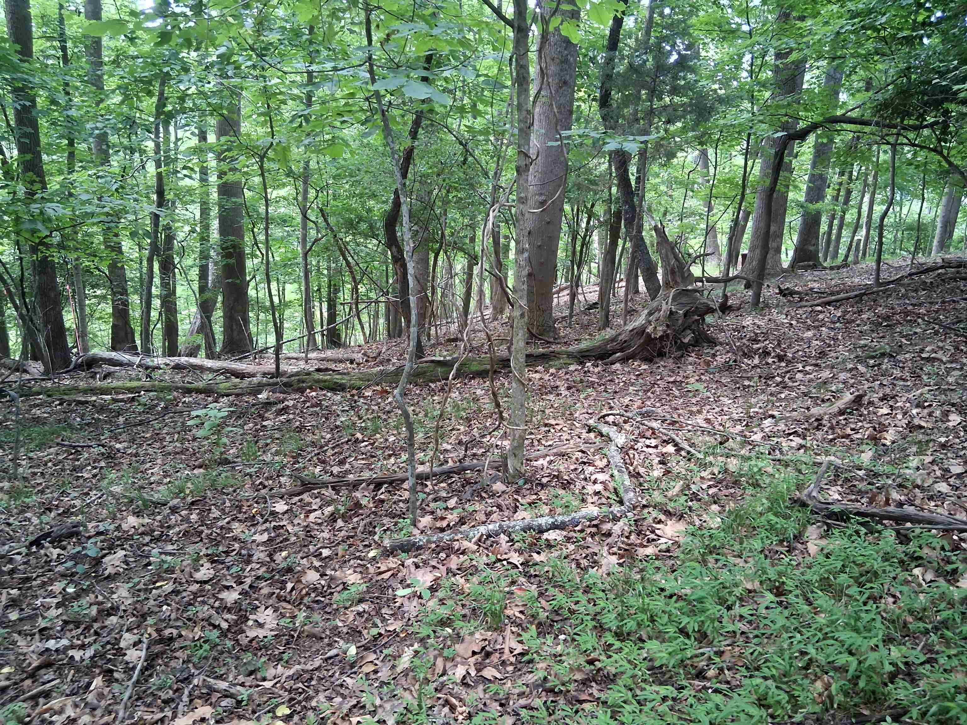 TBD Frazier Rd Road