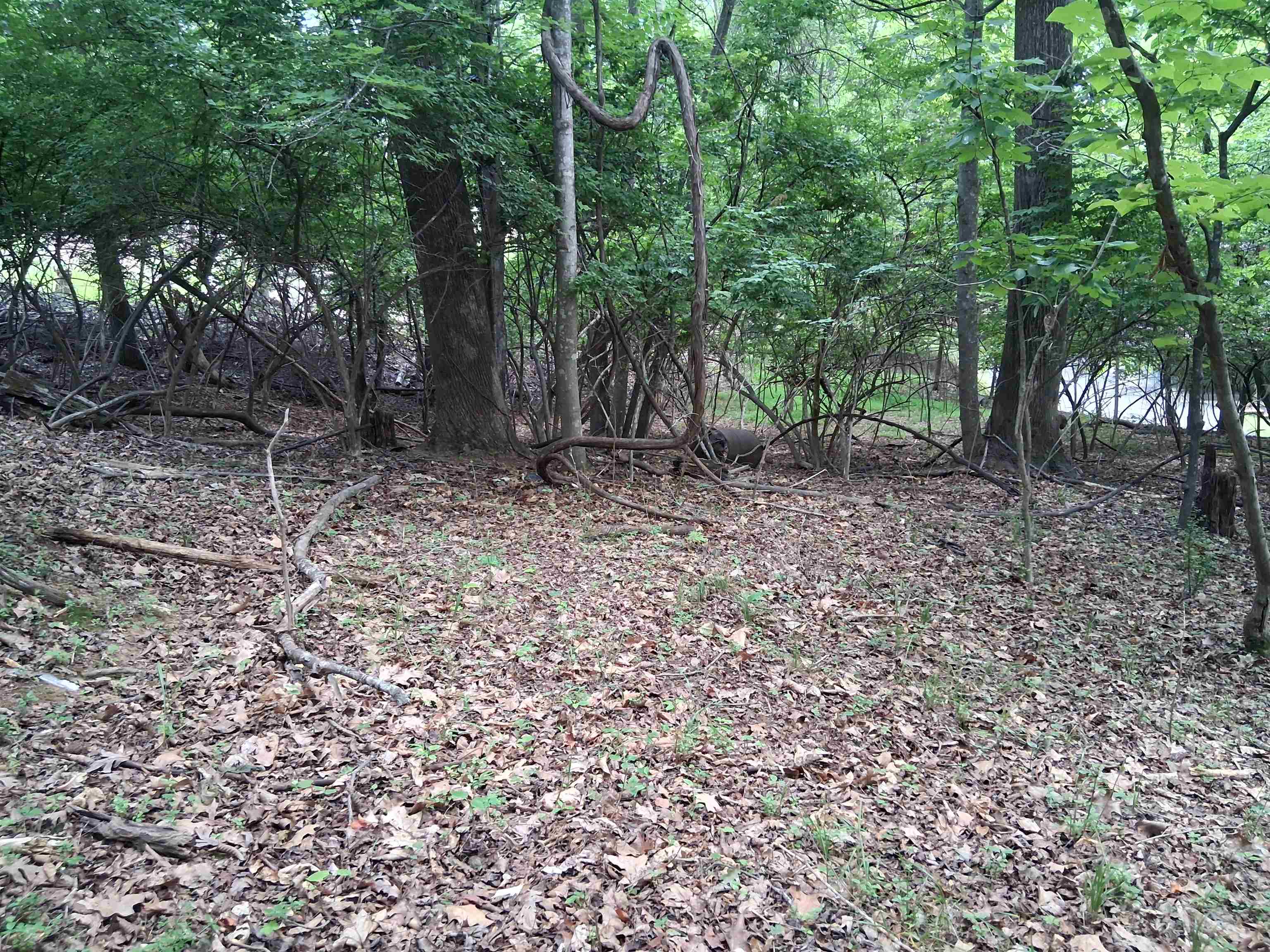 TBD Frazier Rd Road