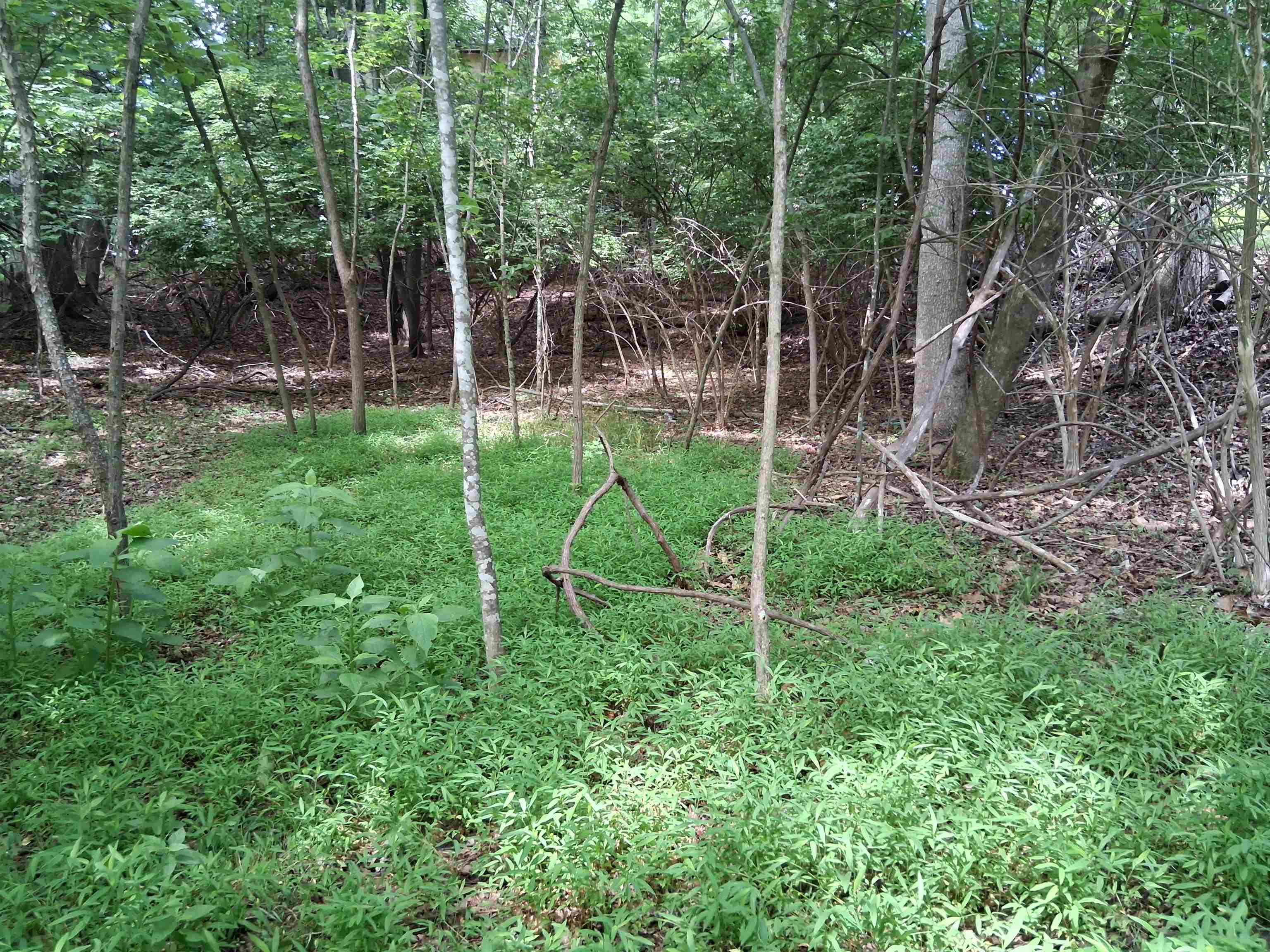 TBD Frazier Rd Road
