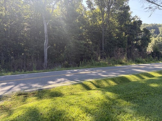 JULIA SIMPKINS RD, HIWASSEE, VA 24347 - Image ff43a9a79656bbef14f0fbfb8ede10fe/3612918273
