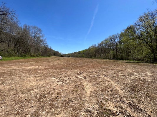 151 CARL HURT RD, SCOTTSVILLE, KY 42164 - Image 17f0b77f2e77f632893b4e84f1fb5d35/2788892175