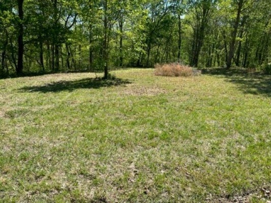 LOT 2 HALLS CHAPEL ROAD, BOWLING GREEN, KY 42101 - Image 28f07603cb6a987cd9a03d39da820abd/1994960330