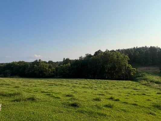 0 WILKERSON ROAD, ADOLPHUS, KY 42120 - Image 2aeb99c8999d4e12cacbf68984b3850a/190251345